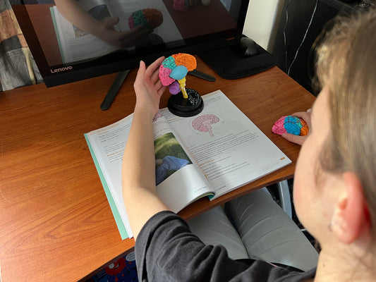 Rural homeschooling in NZ: the Welch family