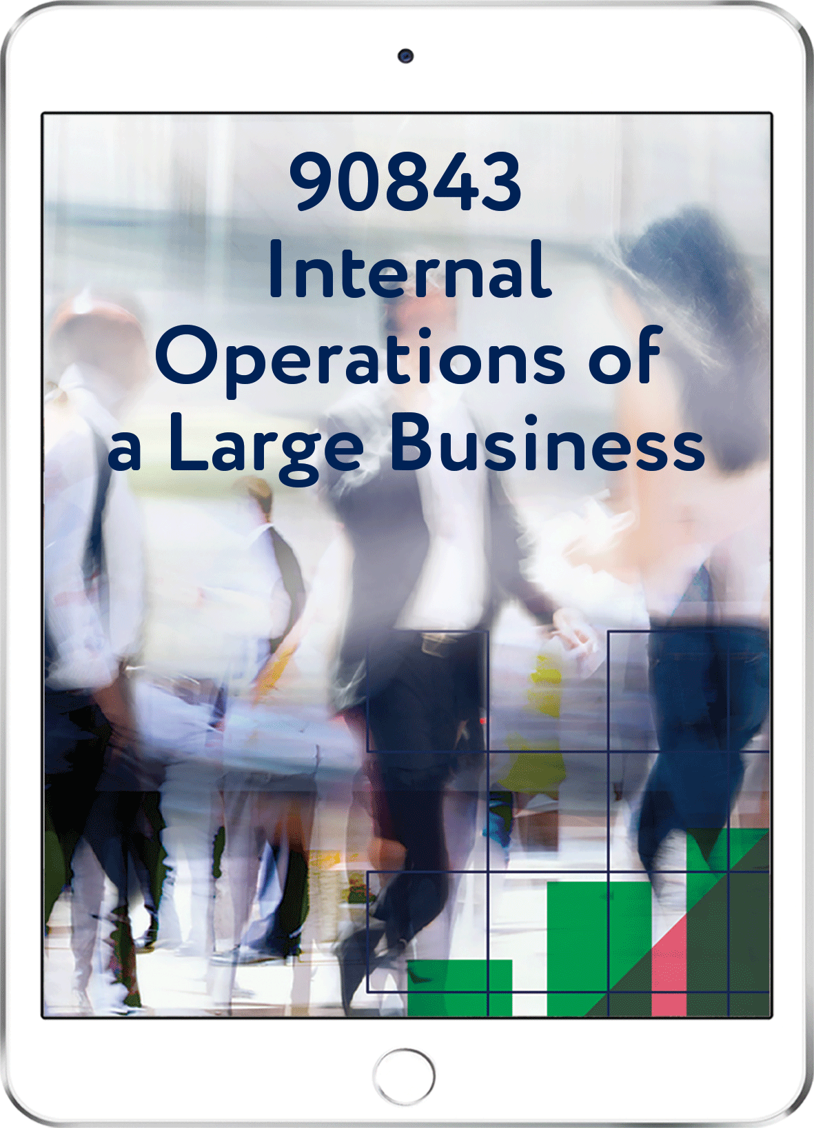 90843 Internal Operations of a Large Business