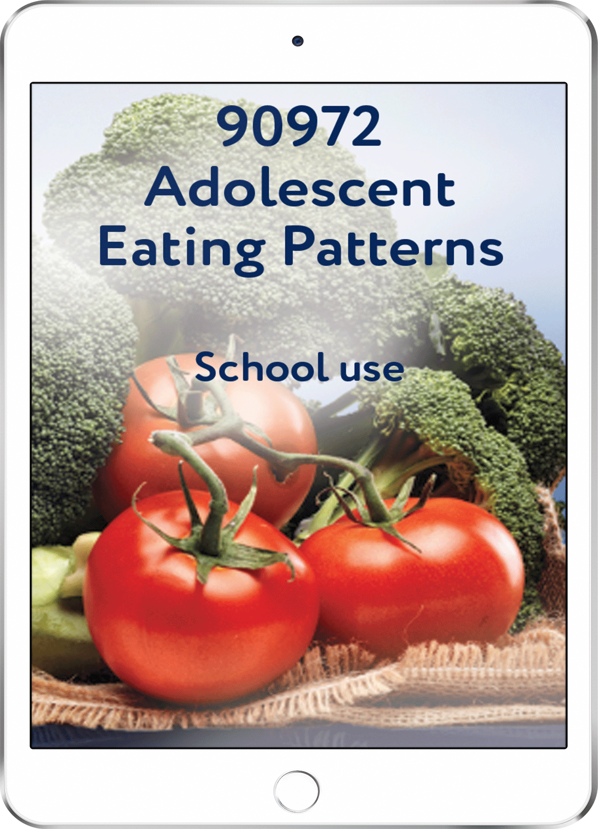 90972 Adolescent Eating Patterns - School Use