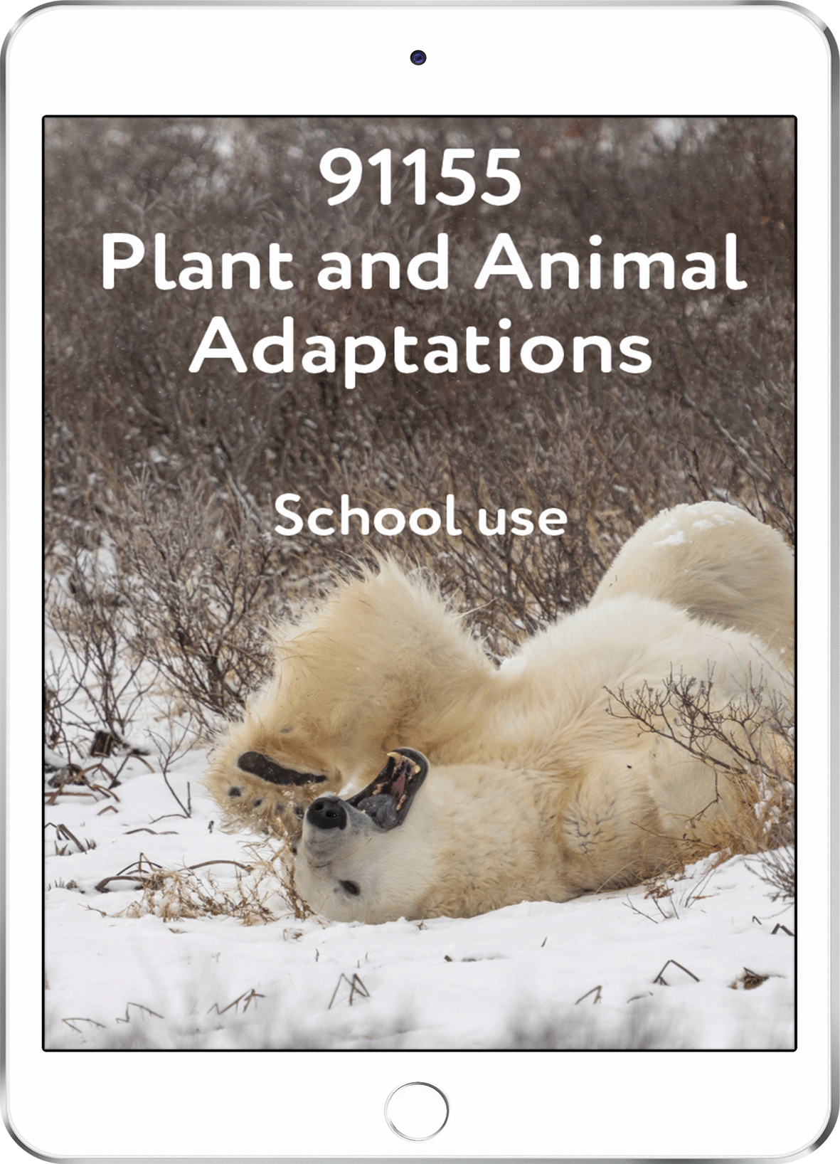 91155 Plant and Animal Adaptations - School Use