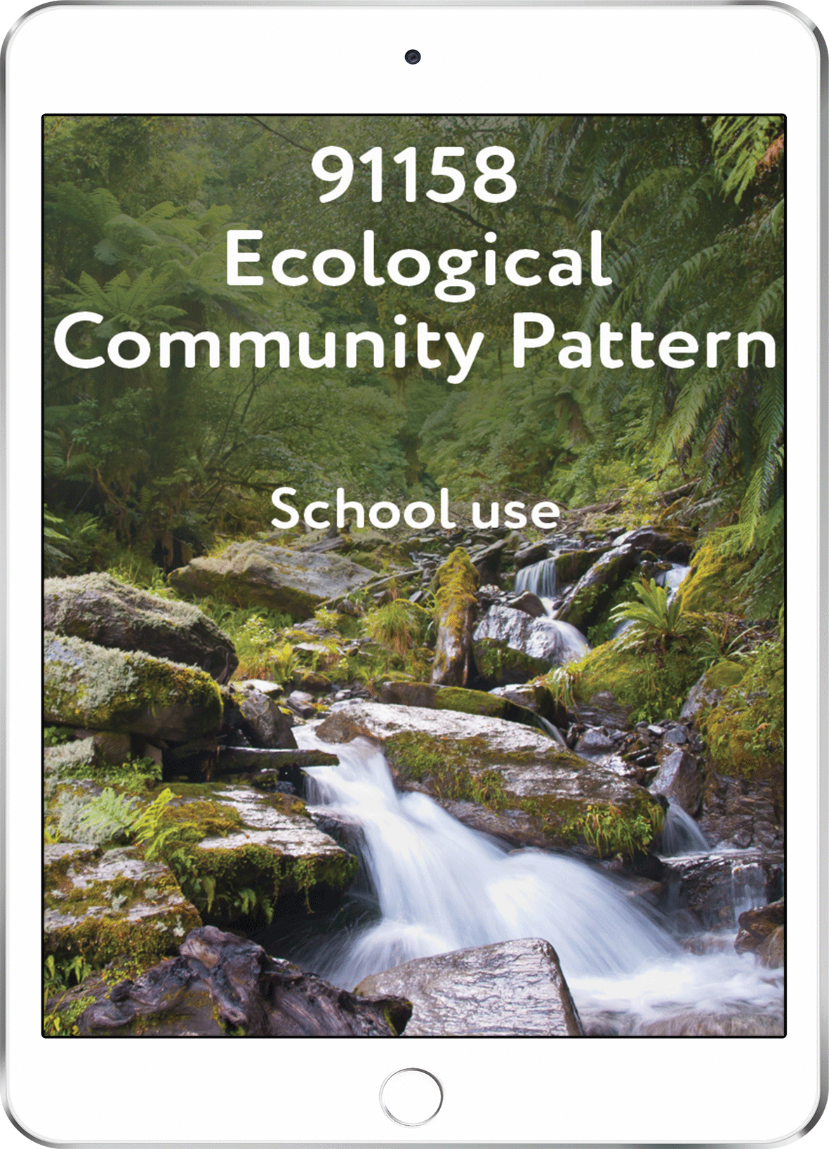 91158 Ecological Community Pattern - School Use