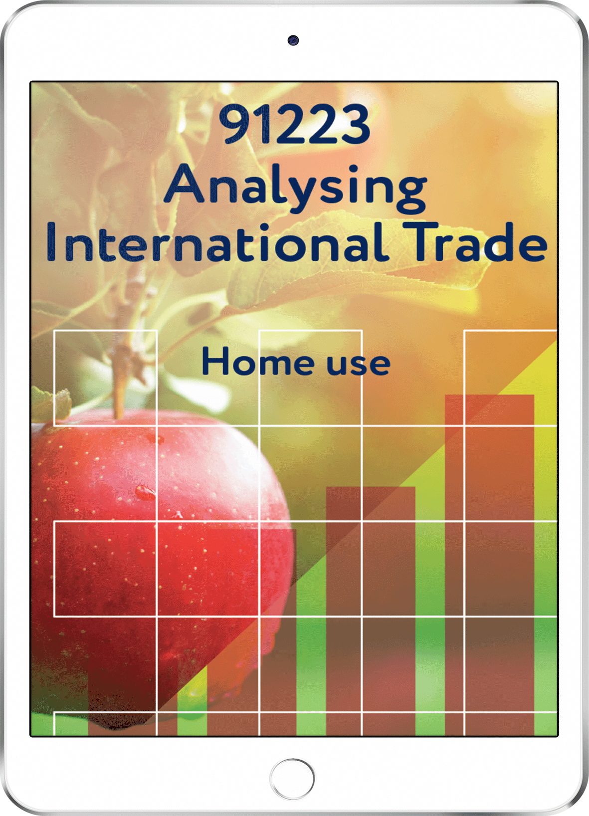 91223 Analysing International Trade - Home Use