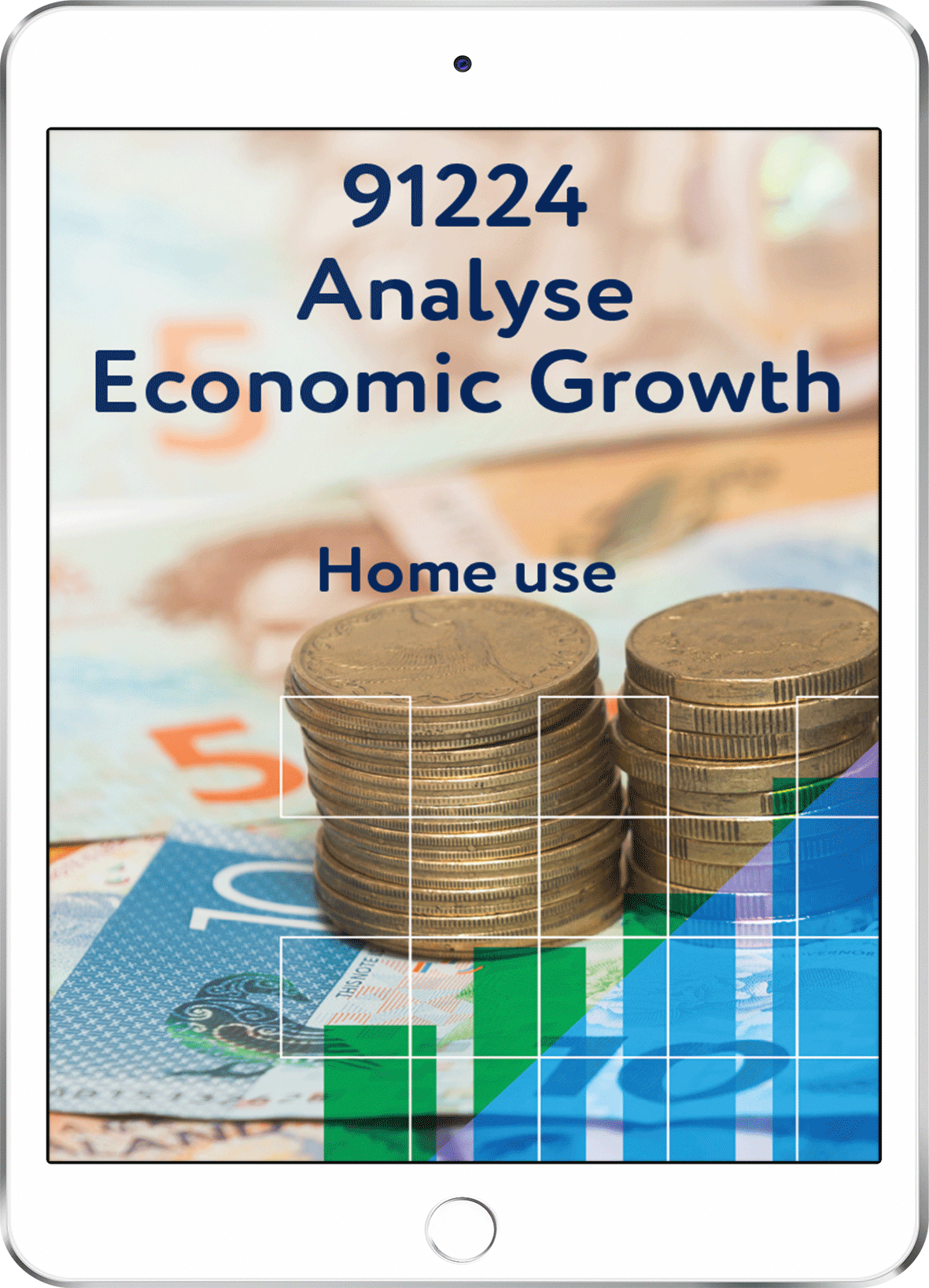 91224 Analyse Economic Growth - Home Use