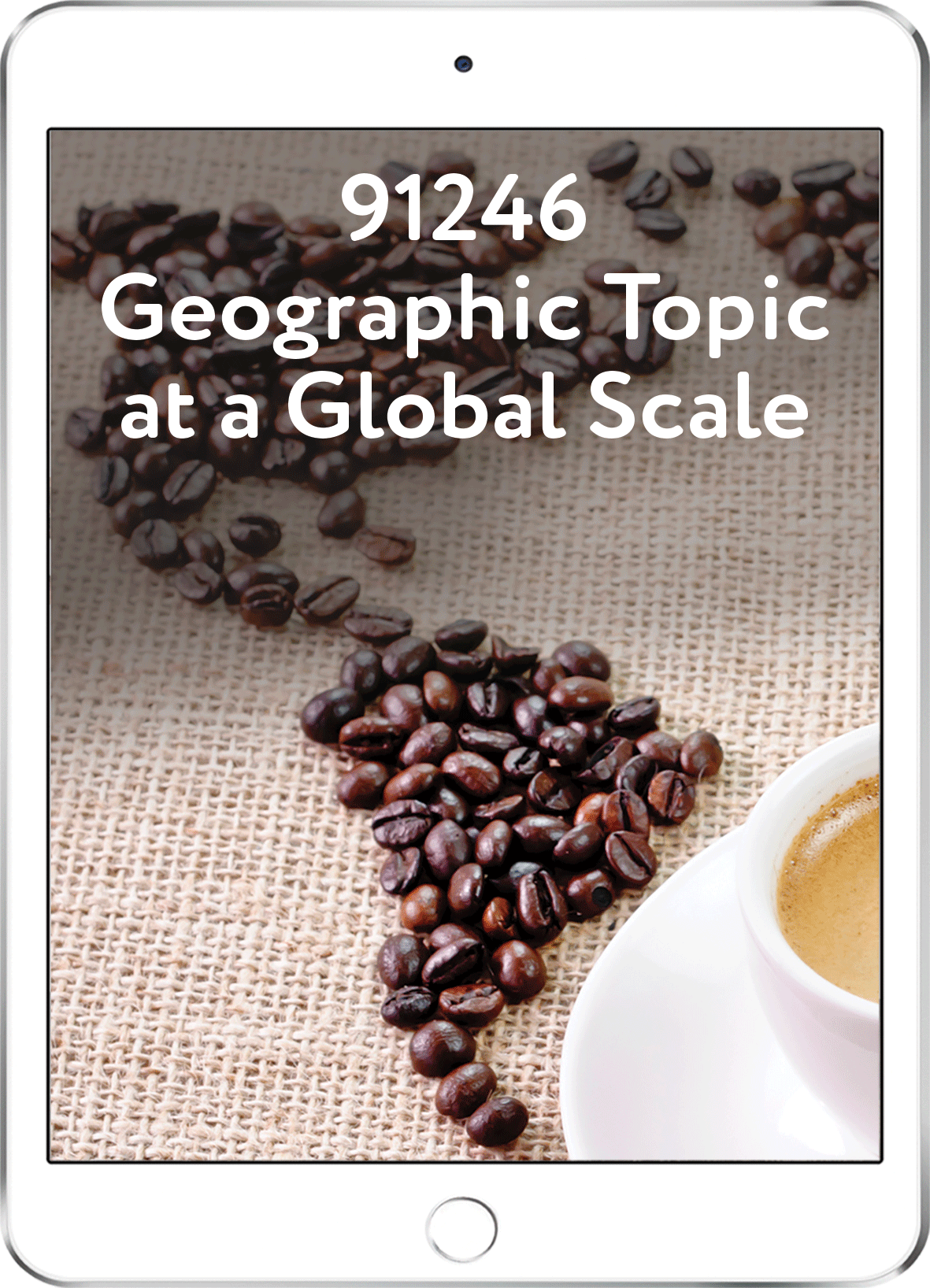 91246 Geographic Topic at a Global Scale