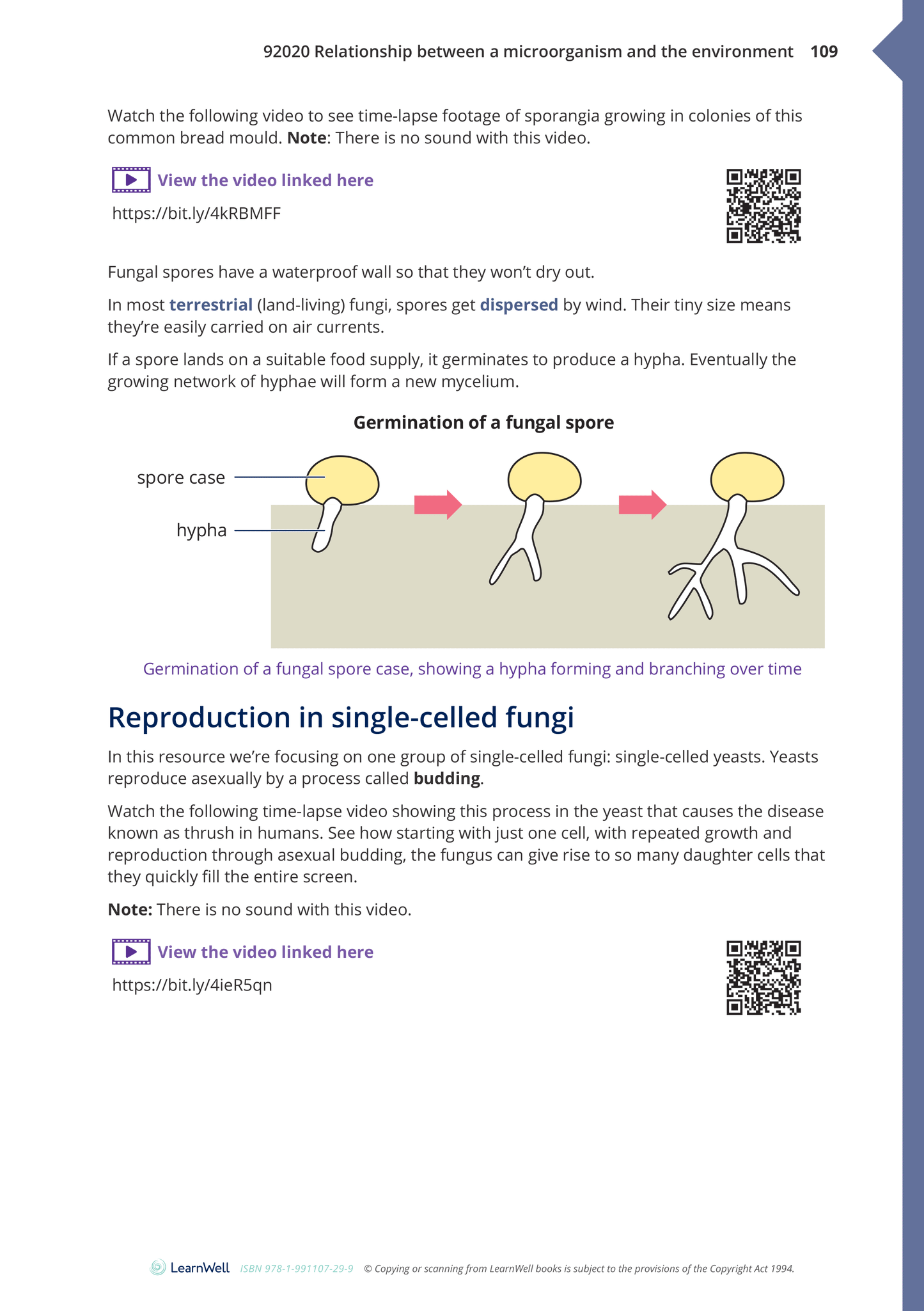 92020 Relationship between a Microorganism and the Environment Learning Guide