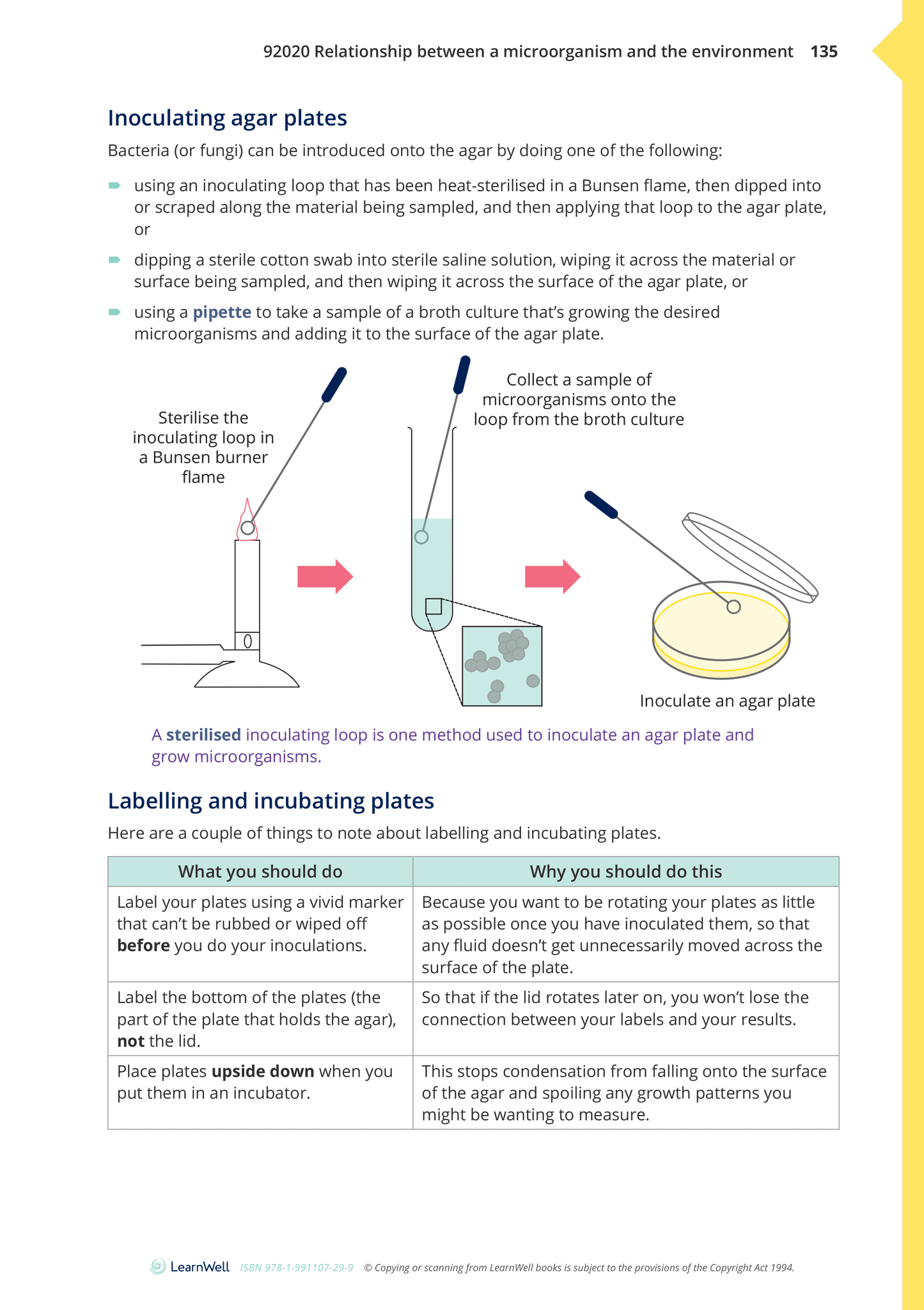 92020 Relationship between a Microorganism and the Environment Learning Guide