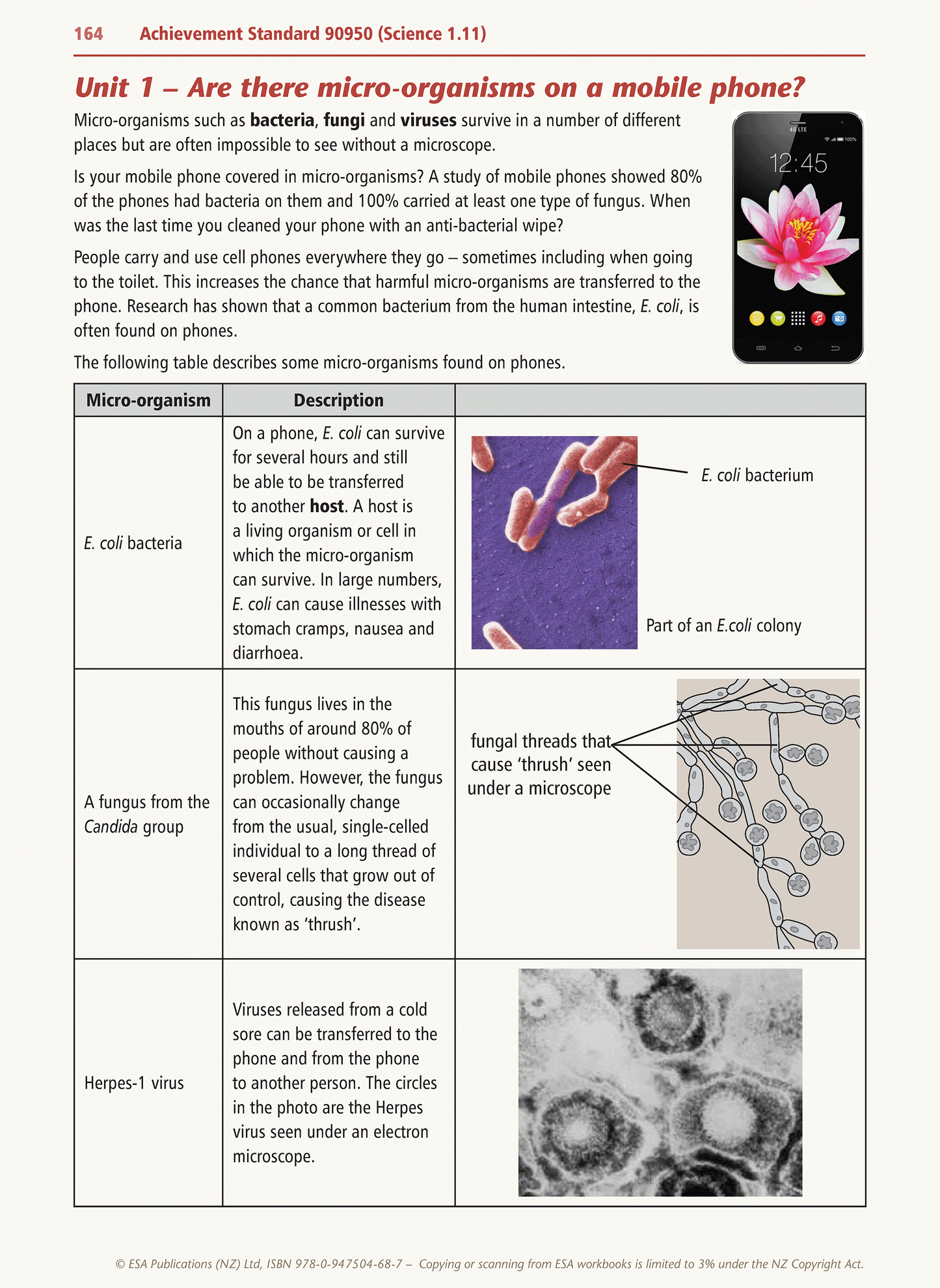 Level 1 Achieving Science Learning Workbook