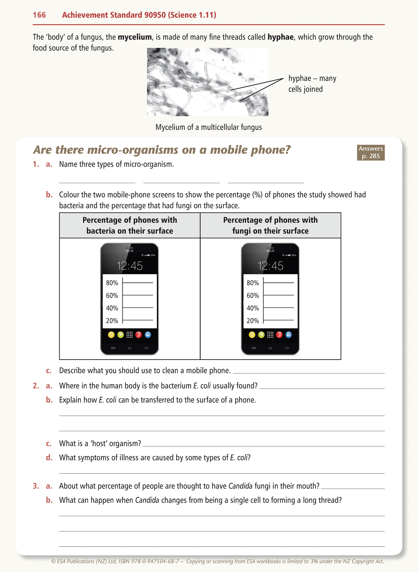 Level 1 Achieving Science Learning Workbook