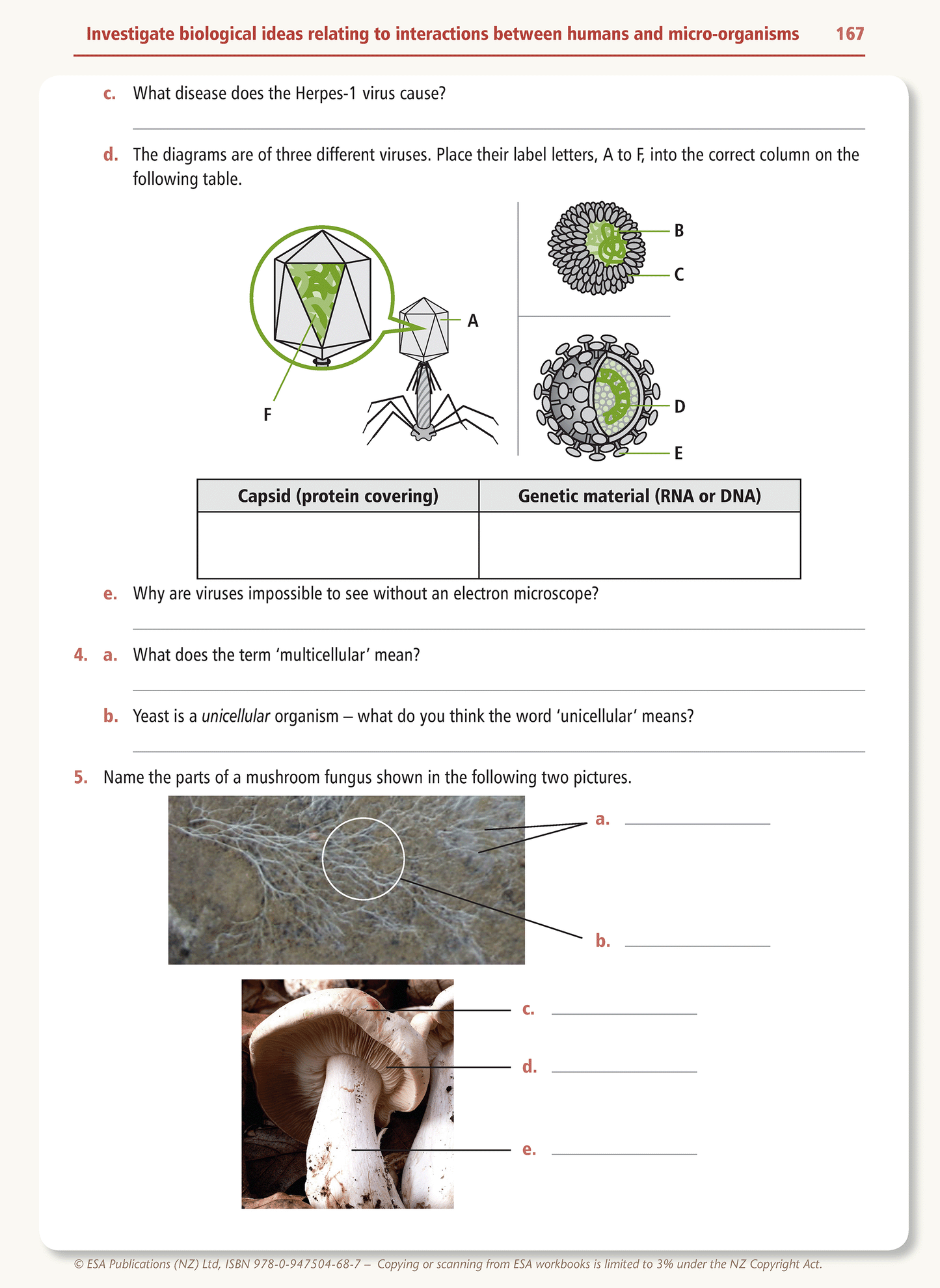 Level 1 Achieving Science Learning Workbook