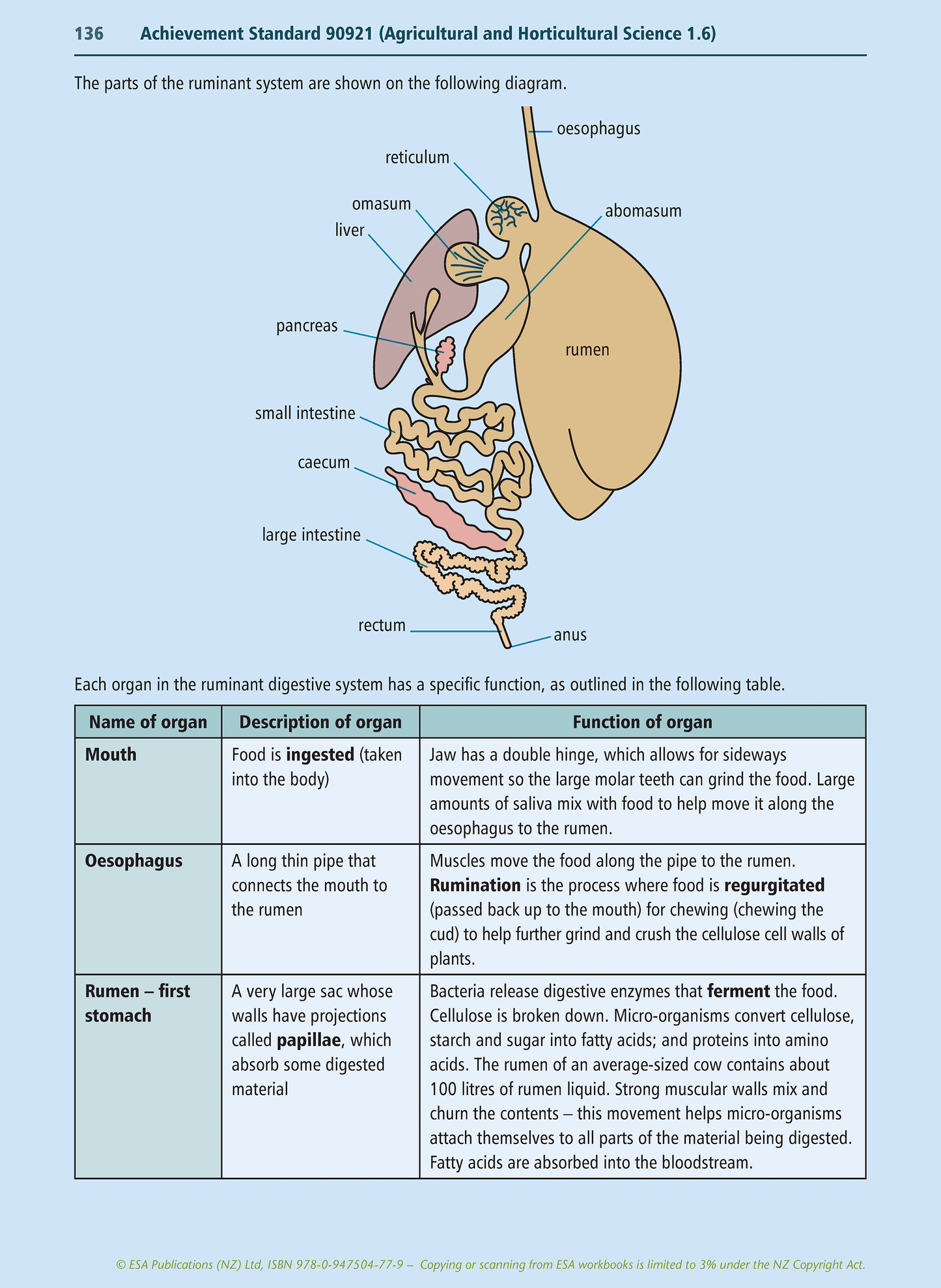 Level 1 Agriculture Learning Workbook