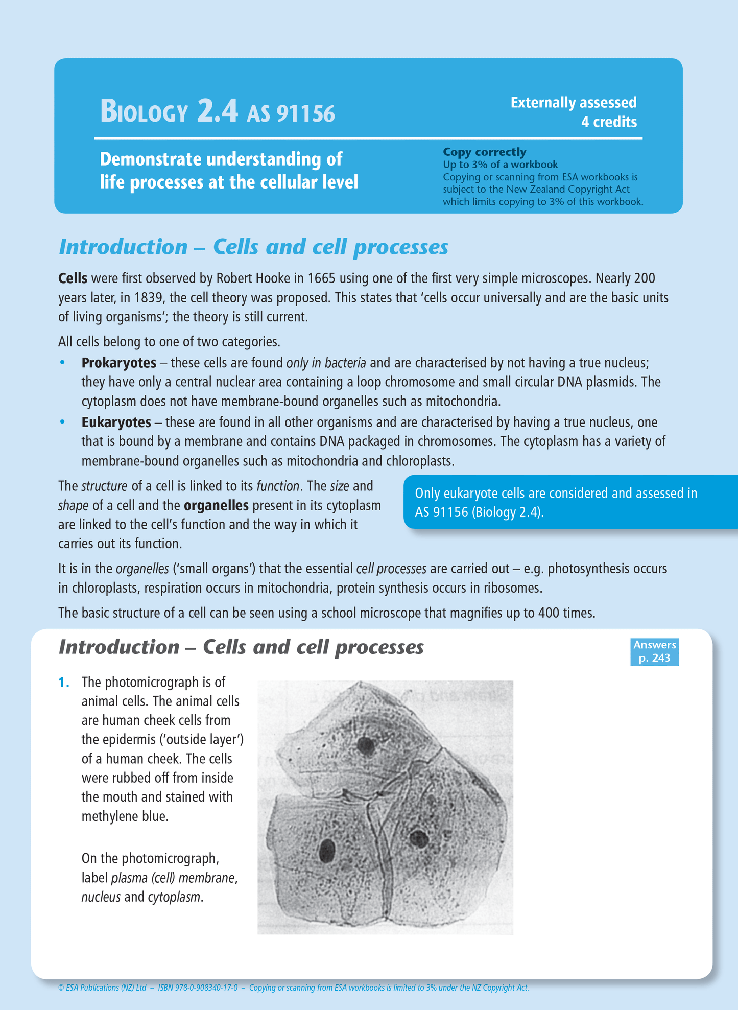 Level 2 Biology Externals Learning Workbook