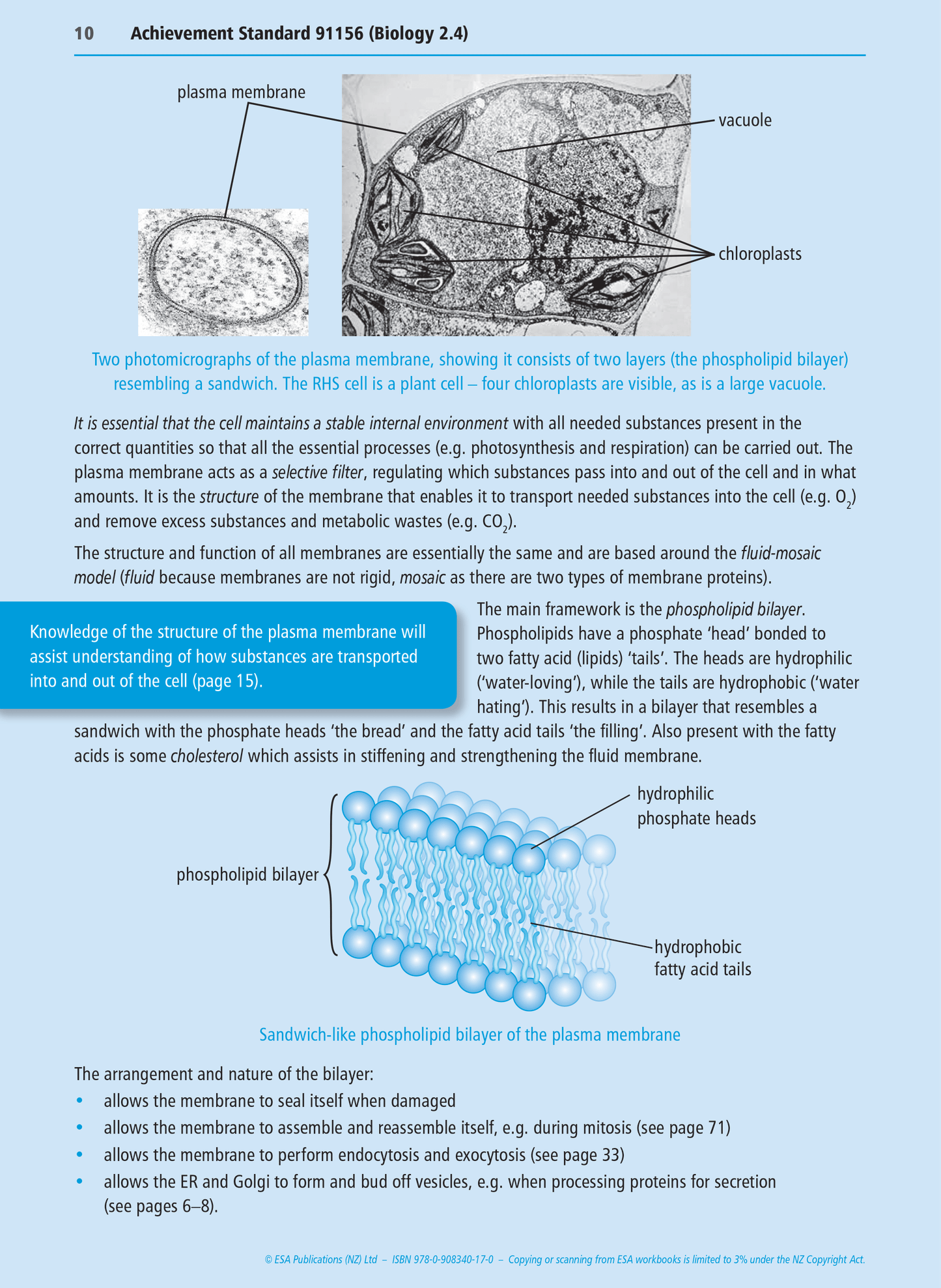 Level 2 Biology Externals Learning Workbook