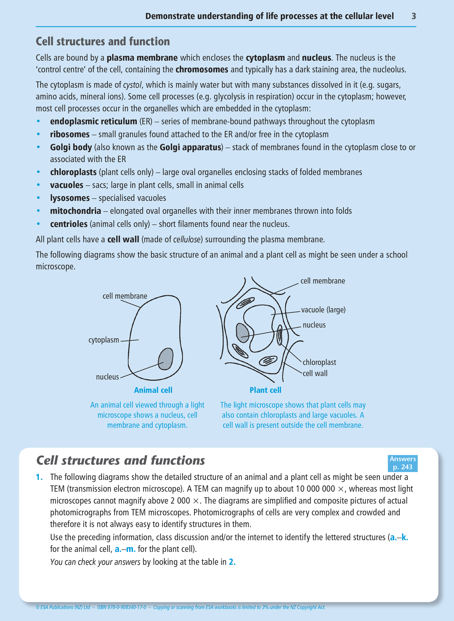 Level 2 Biology Externals Learning Workbook
