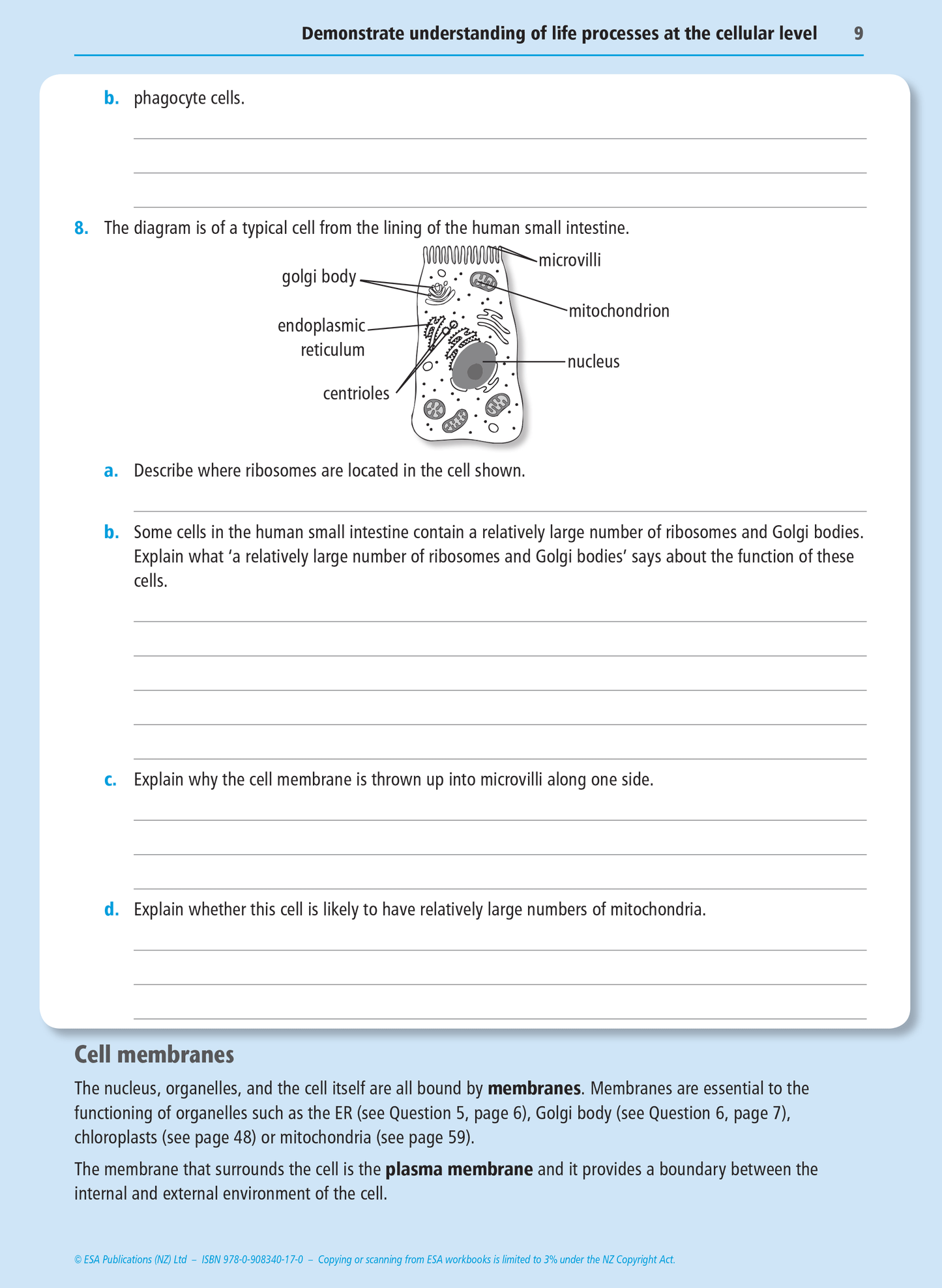Level 2 Biology Externals Learning Workbook