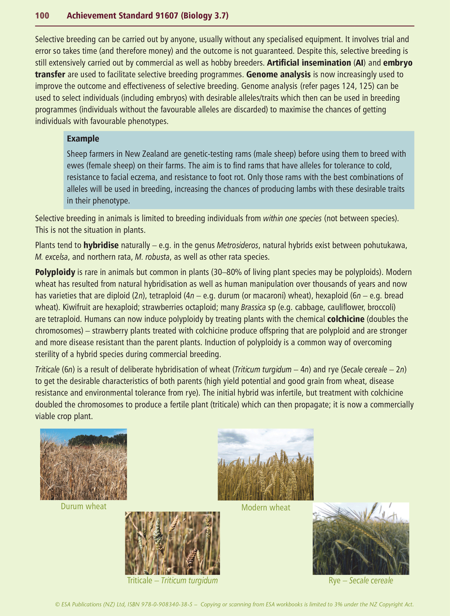 Level 3 Biology Internals Learning Workbook