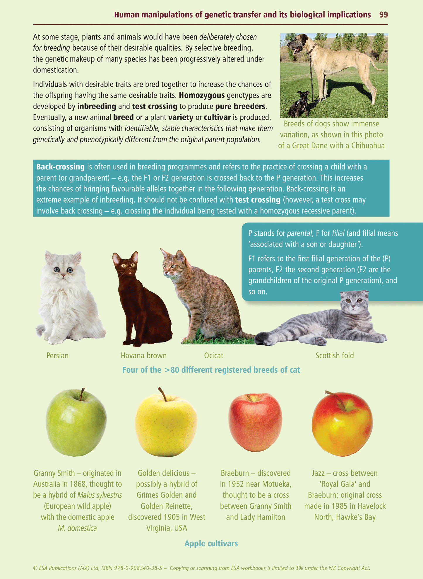 Level 3 Biology Internals Learning Workbook