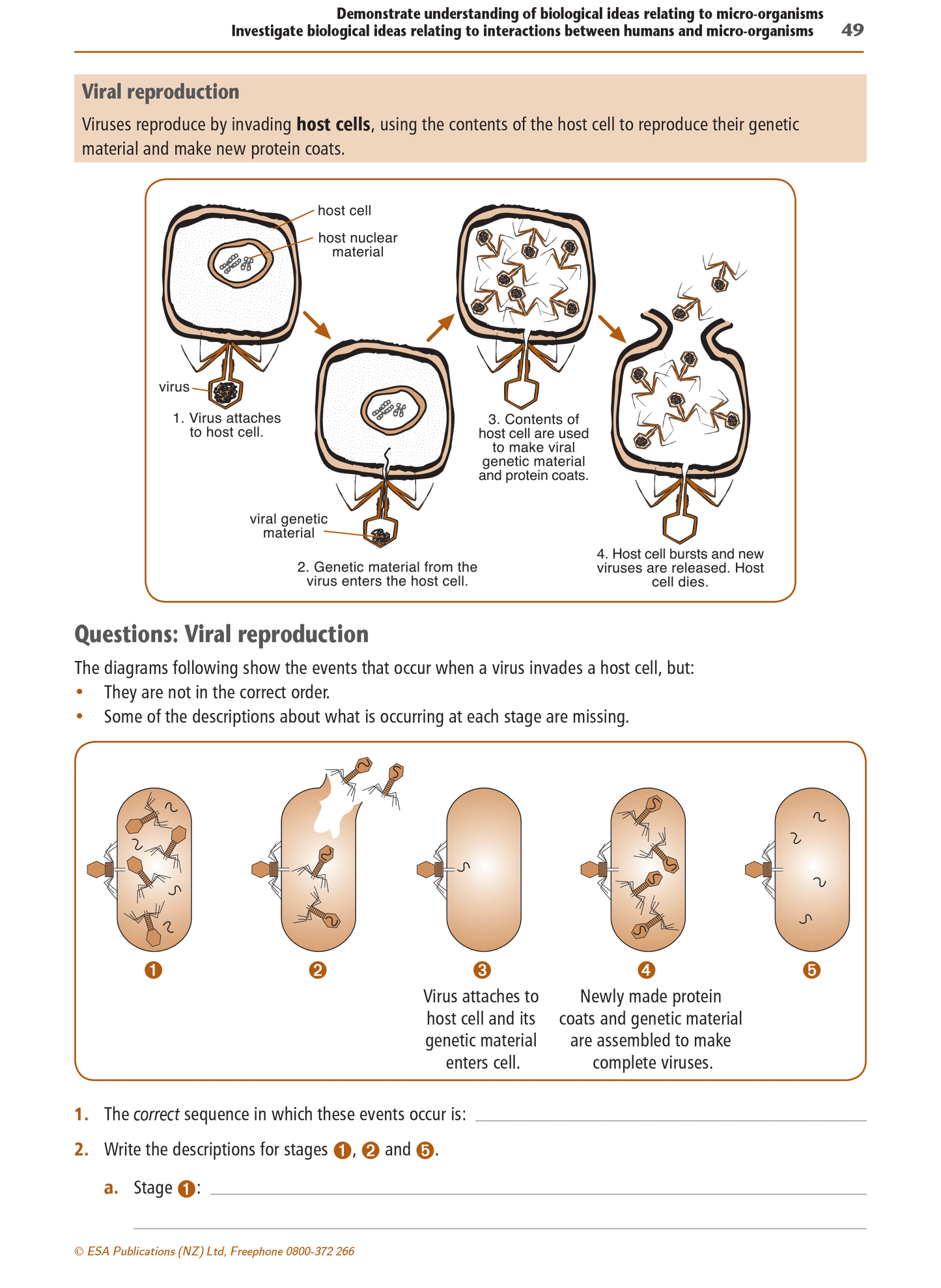 Level 1 Biology Learning Workbook