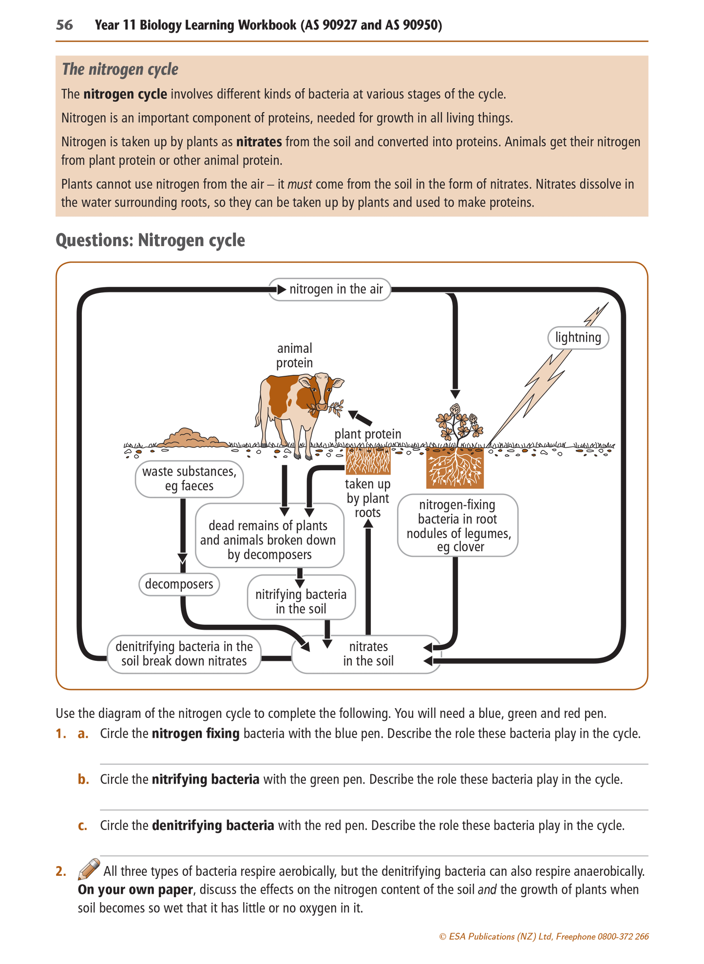 Level 1 Biology Learning Workbook