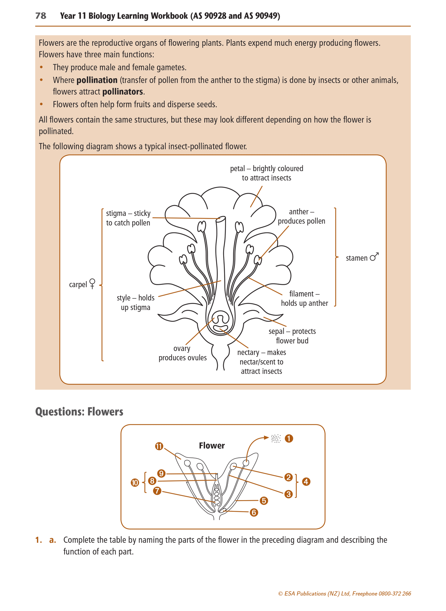 Level 1 Biology Learning Workbook