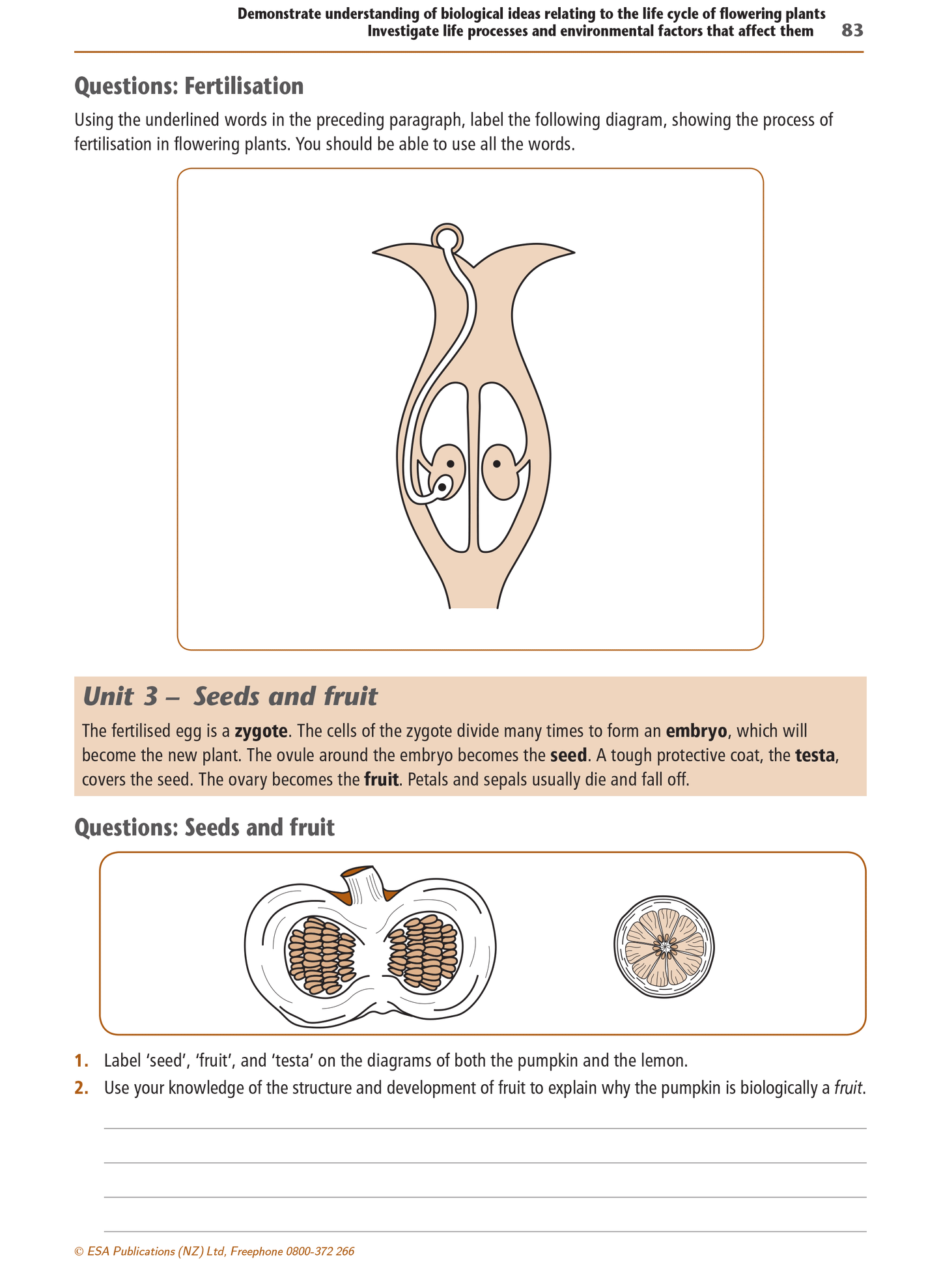 Level 1 Biology Learning Workbook