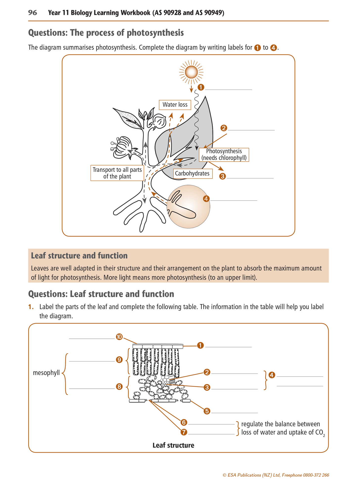 Level 1 Biology Learning Workbook