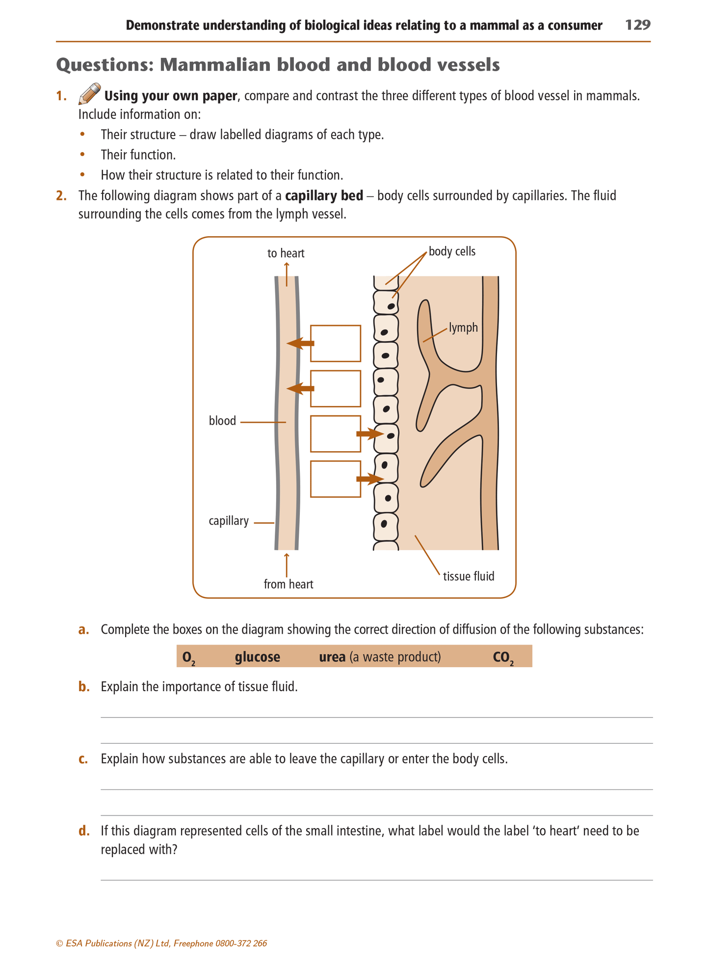 Level 1 Biology Learning Workbook