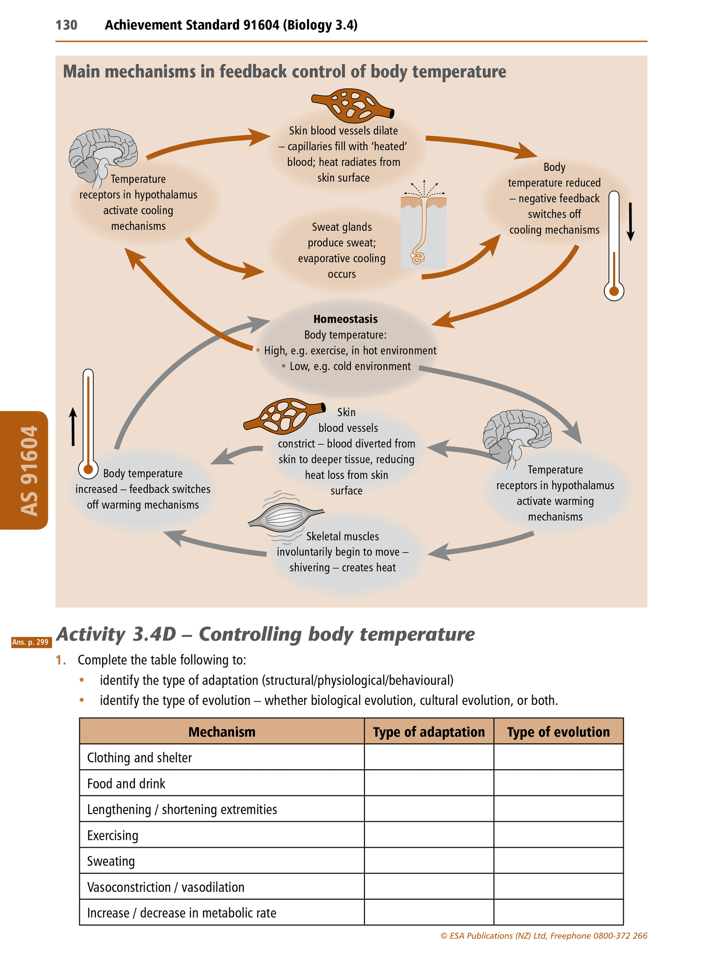 Level 3 Biology Learning Workbook