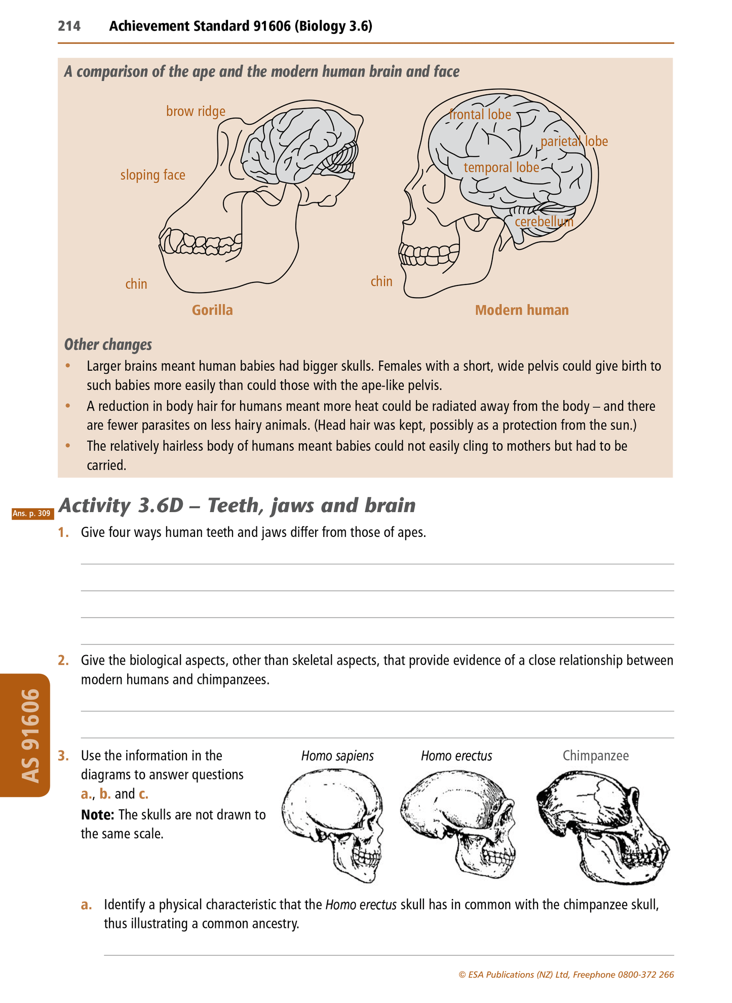 Level 3 Biology Learning Workbook