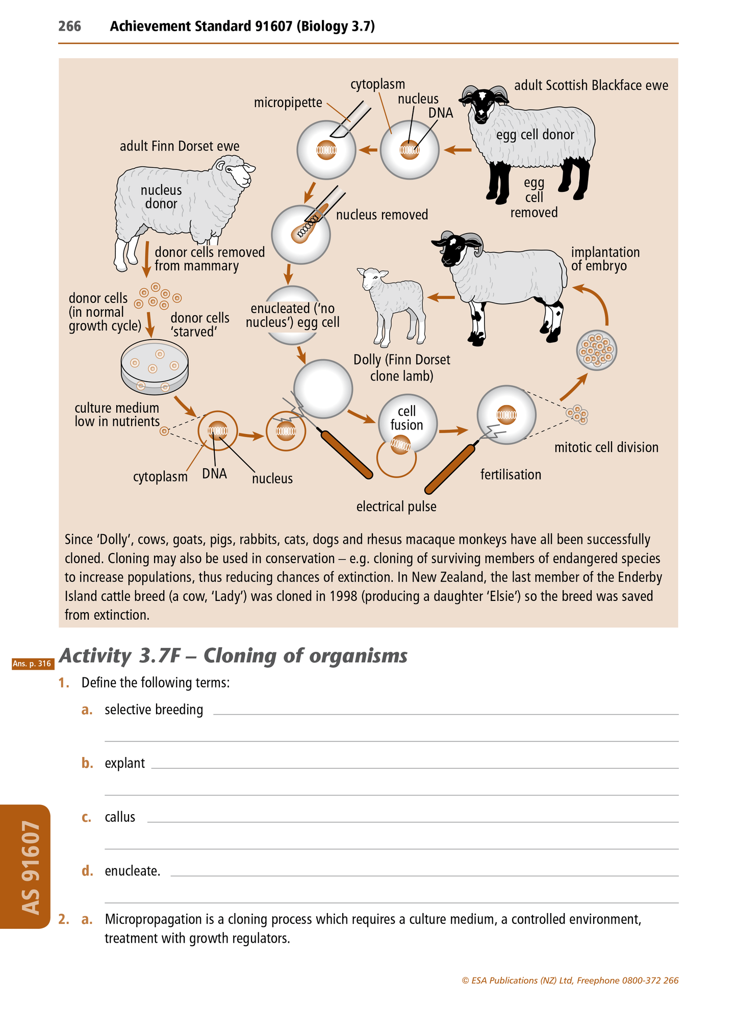 Level 3 Biology Learning Workbook