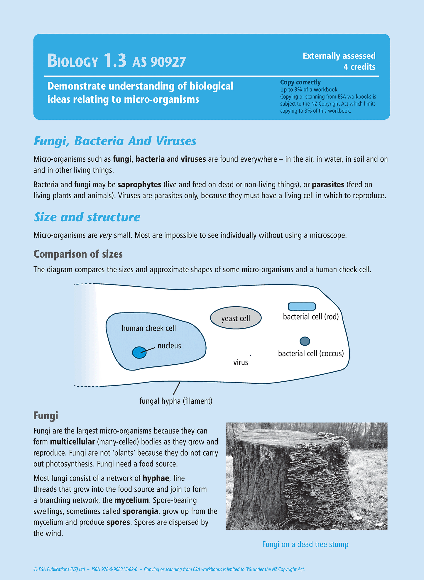 Level 1 Micro-organisms 1.3 Learning Workbook