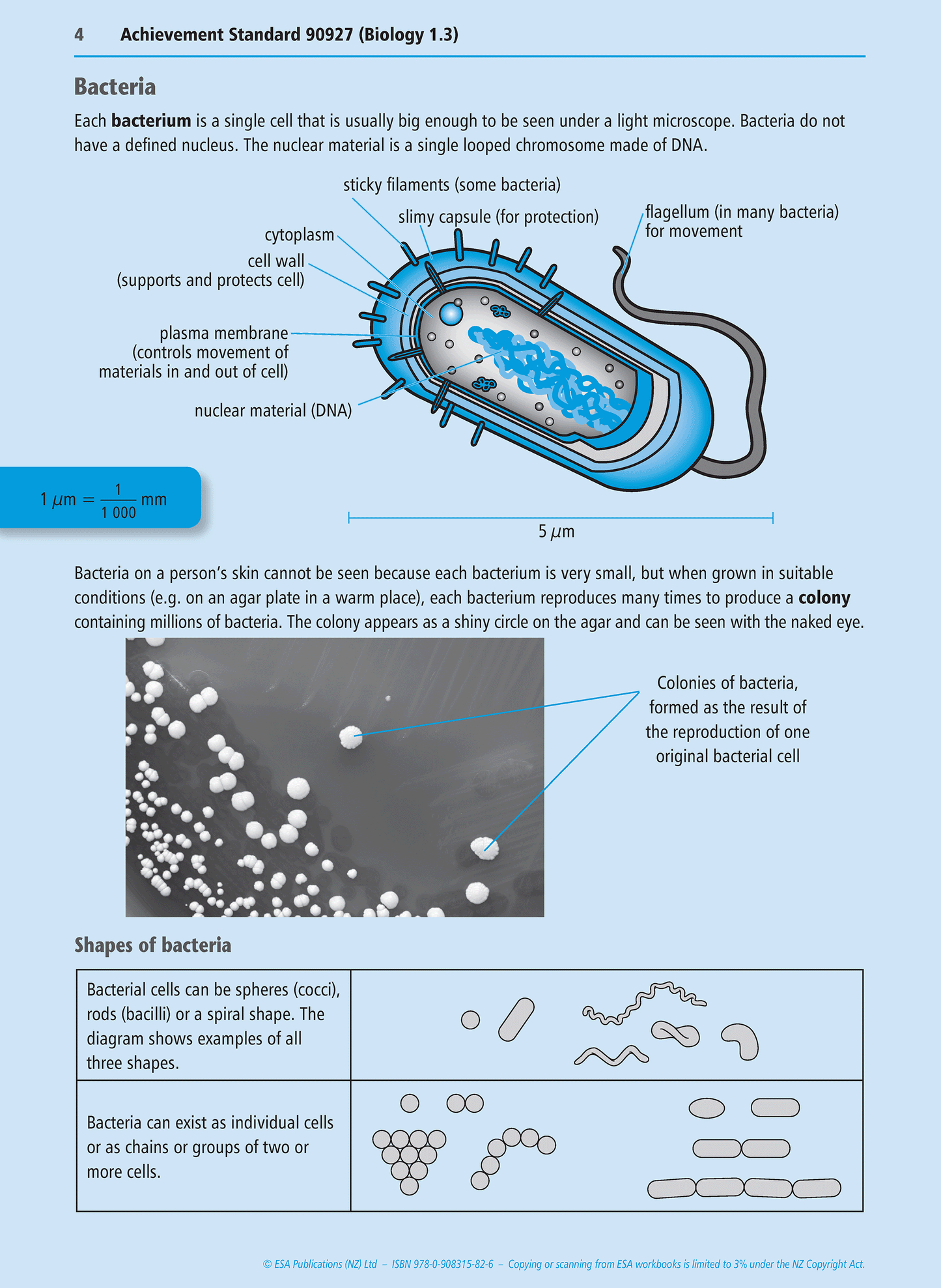 Level 1 Micro-organisms 1.3 Learning Workbook