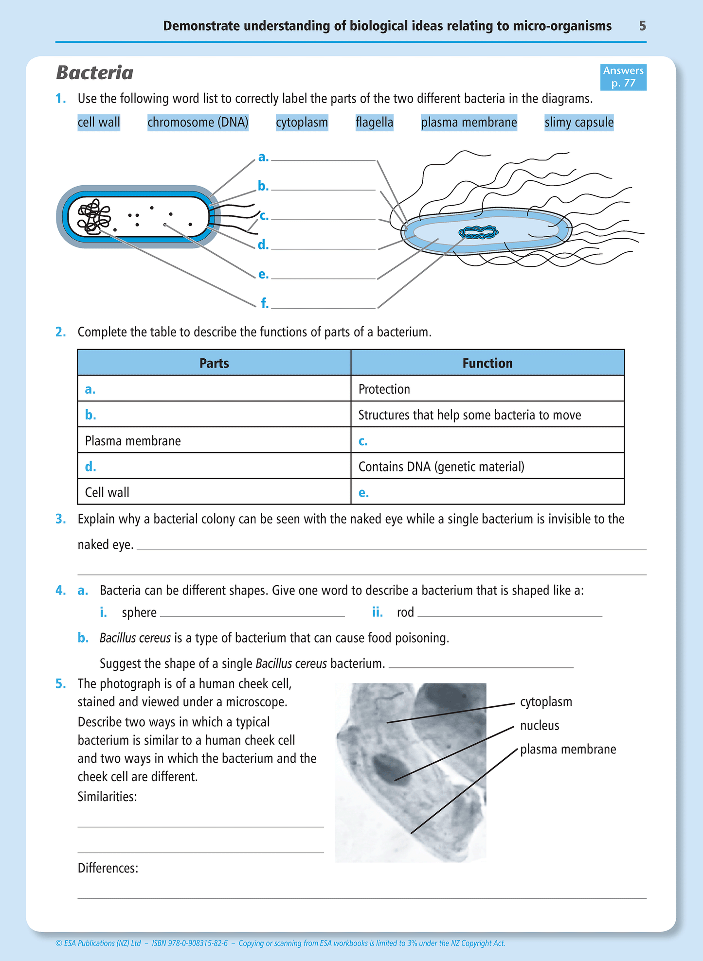 Level 1 Micro-organisms 1.3 Learning Workbook