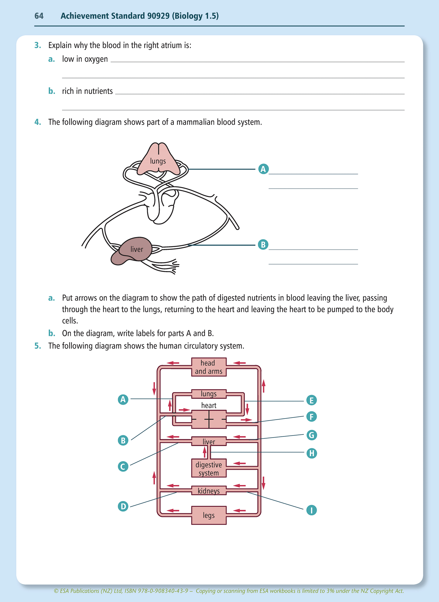 Level 1 Mammals as Consumers 1.5 Learning Workbook