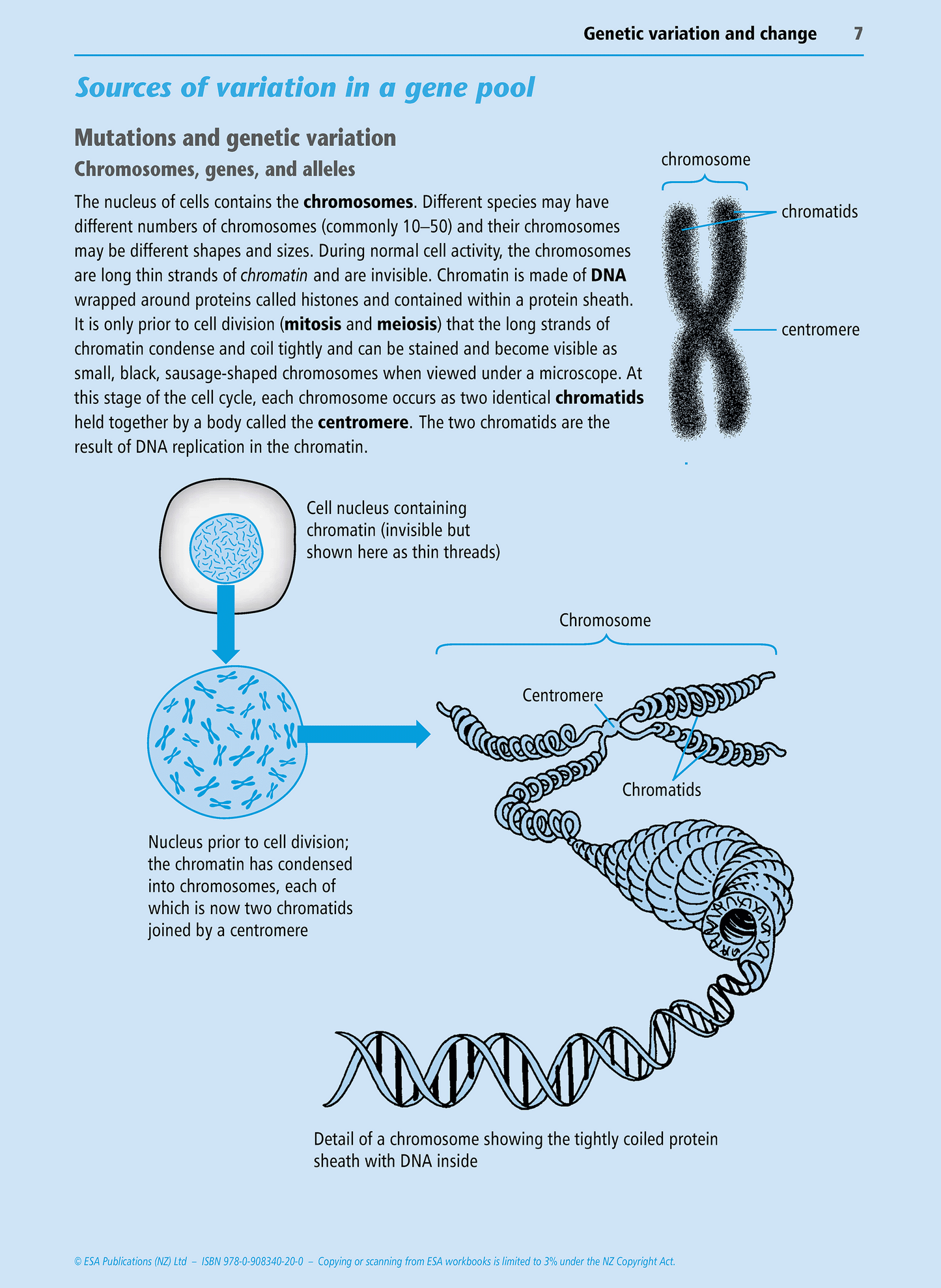 Level 2 Genetic Variation and Change 2.5 Learning Workbook