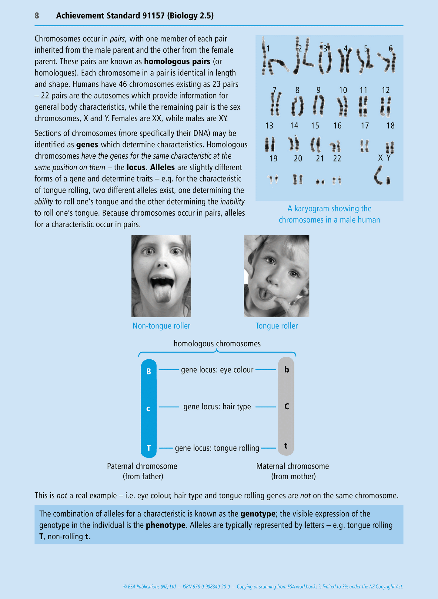 Level 2 Genetic Variation and Change 2.5 Learning Workbook