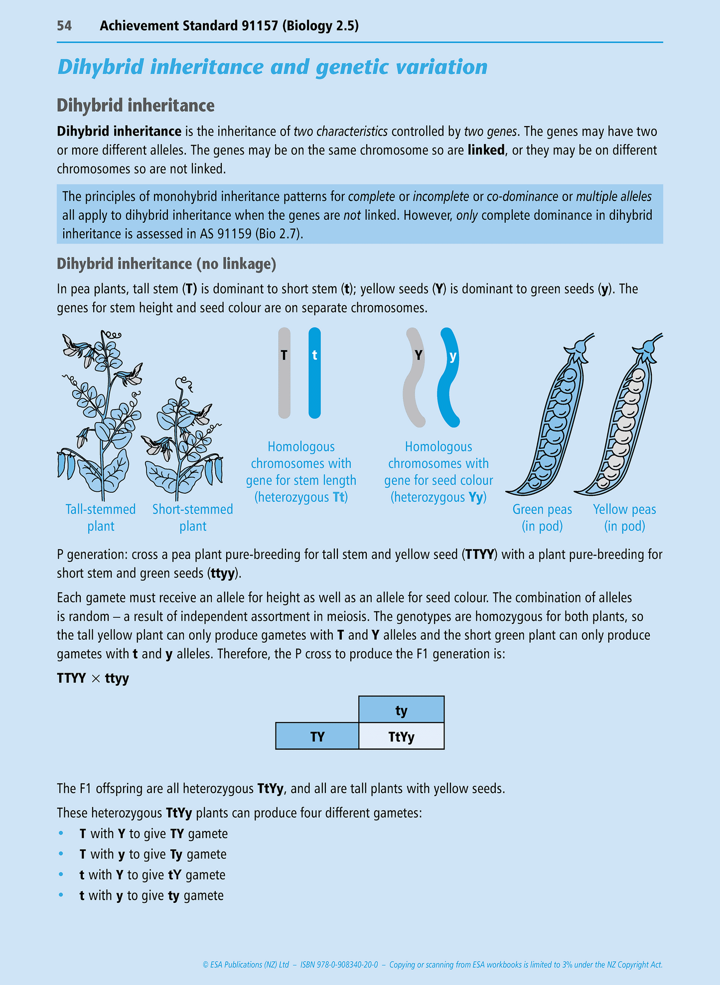 Level 2 Genetic Variation and Change 2.5 Learning Workbook