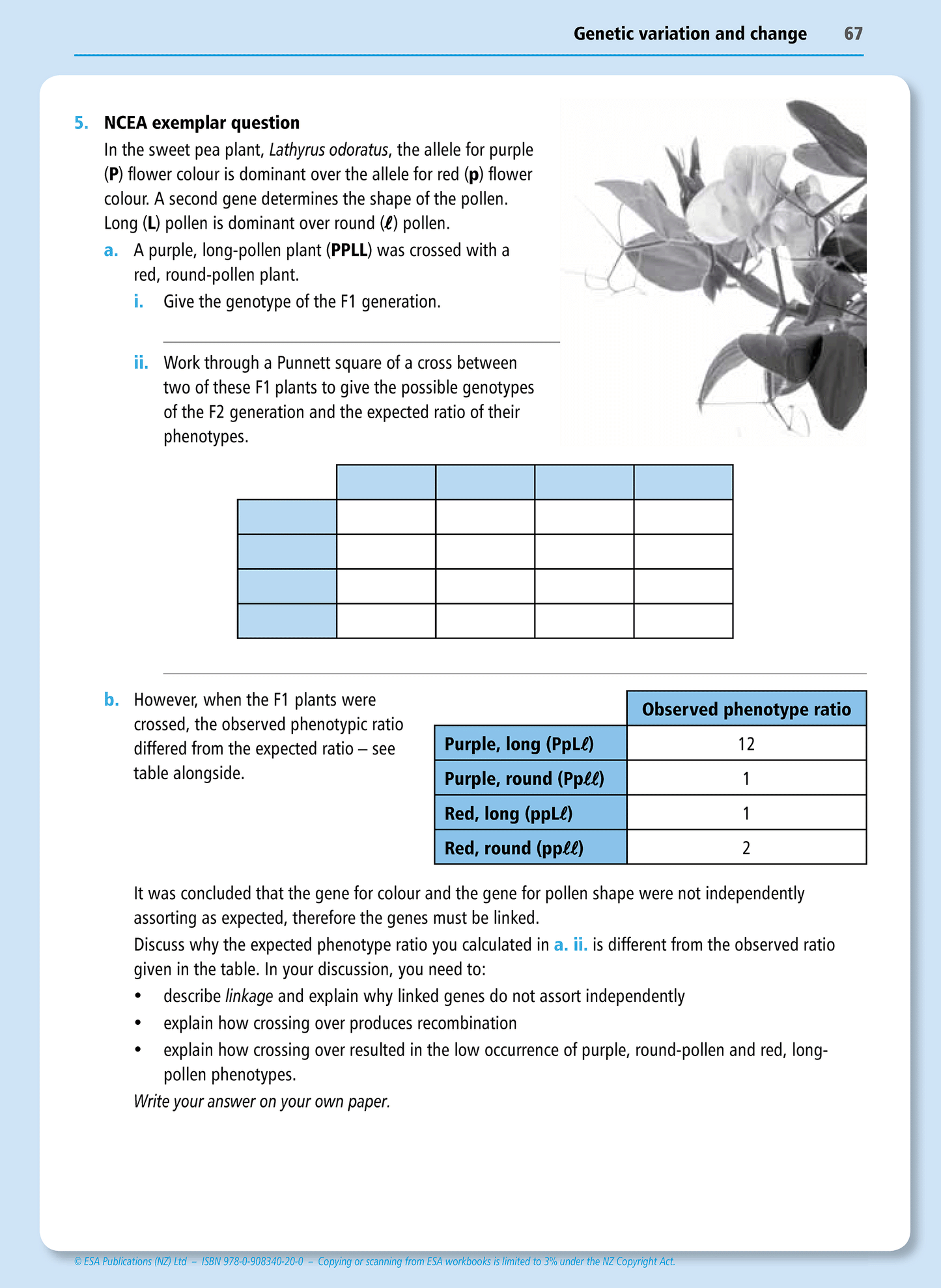 Level 2 Genetic Variation and Change 2.5 Learning Workbook