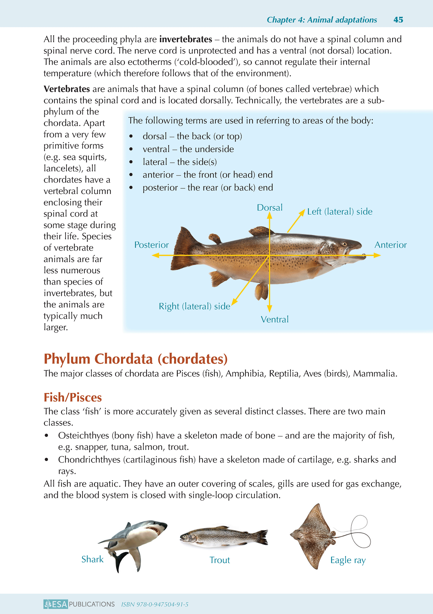 Level 2 Biology ESA Study Guide