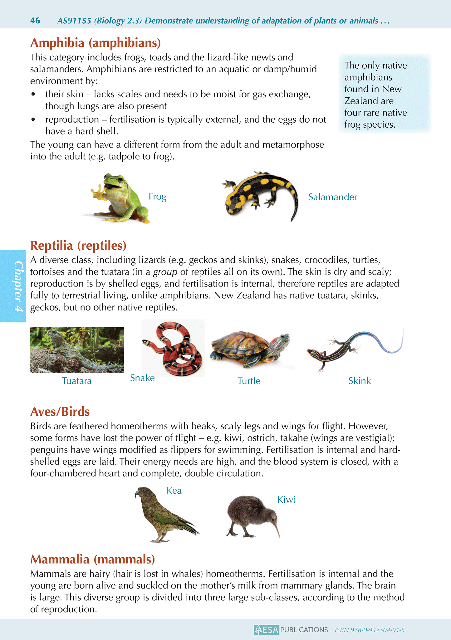 Level 2 Biology ESA Study Guide