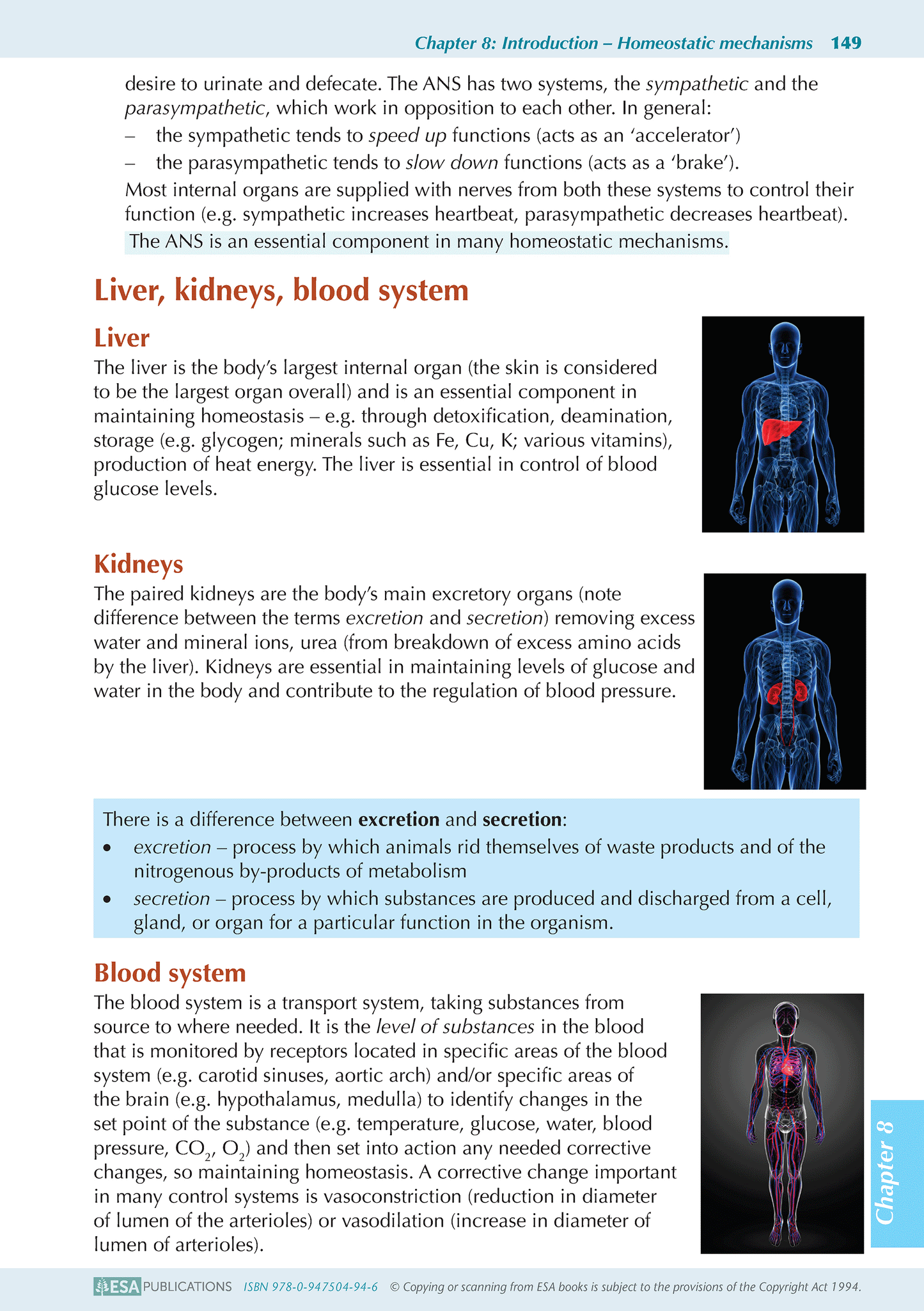 Level 3 Biology ESA Study Guide