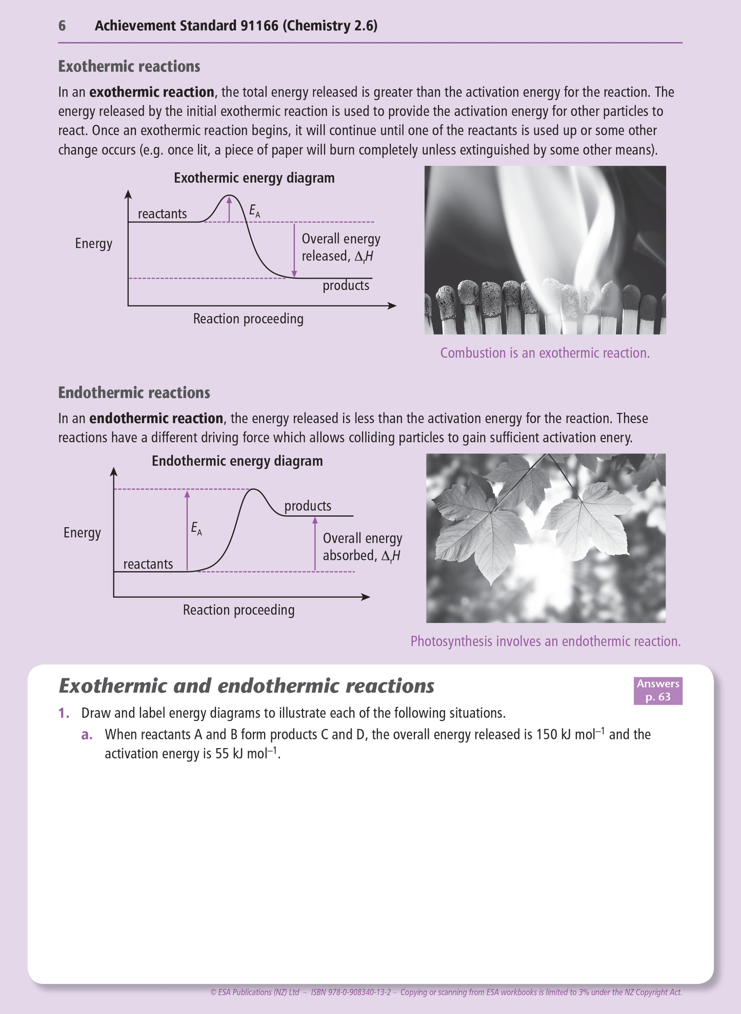 Level 2 Chemical Reactivity 2.6 Learning Workbook