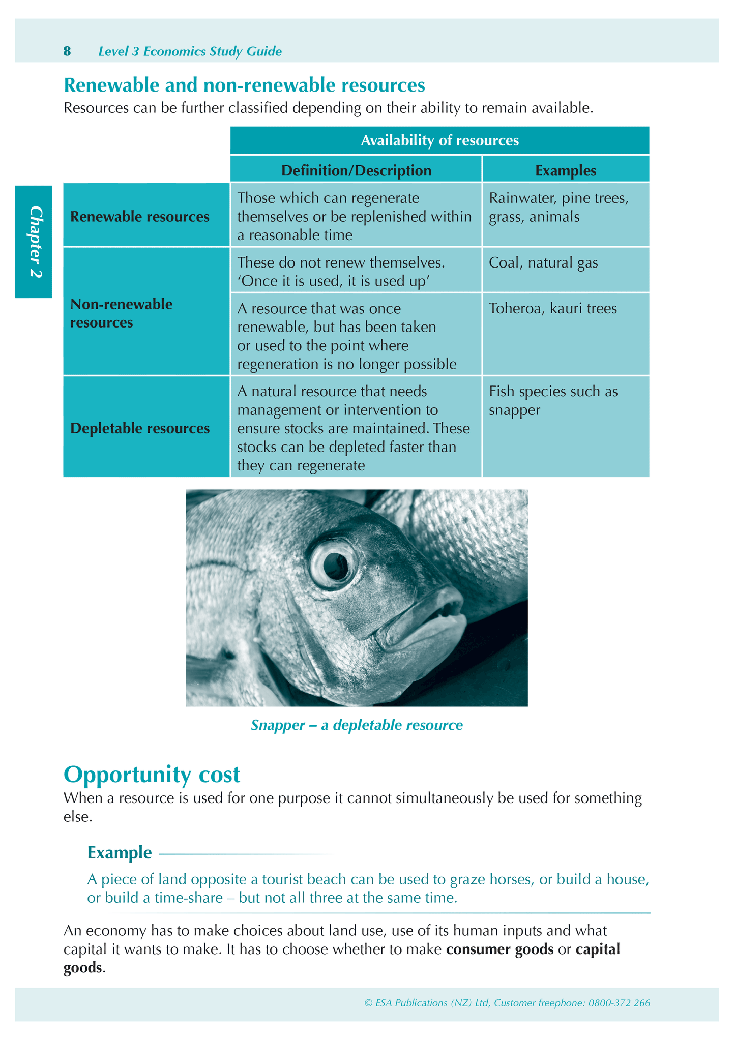 Level 3 Economics ESA Study Guide