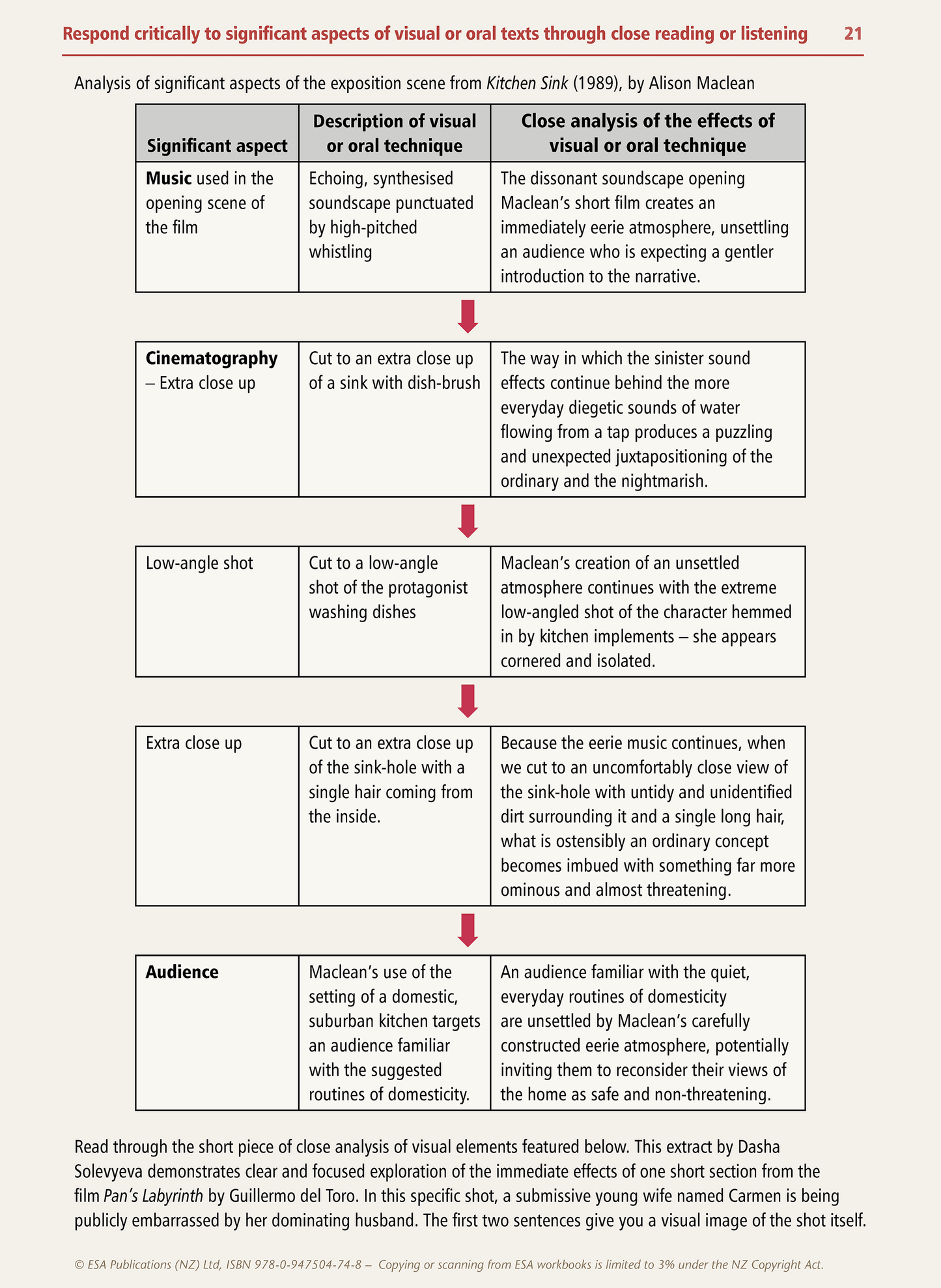 Level 3 Close Viewing of a Visual Text 3.9 Learning Workbook