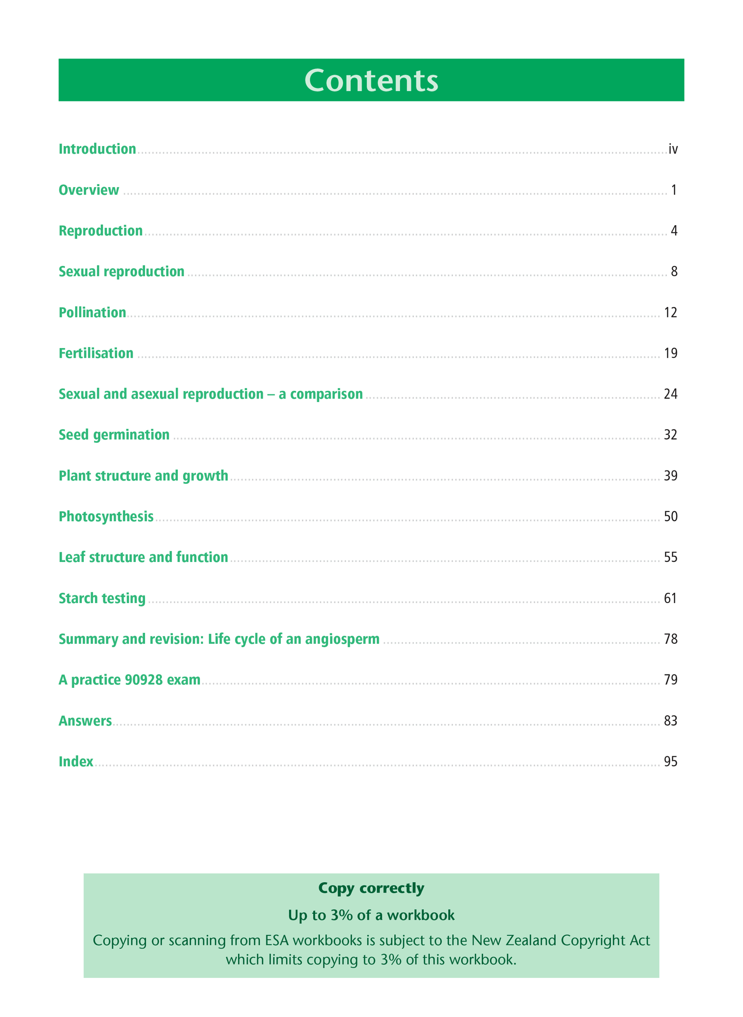 Level 1 Flowering Plants 1.4 Learning Workbook