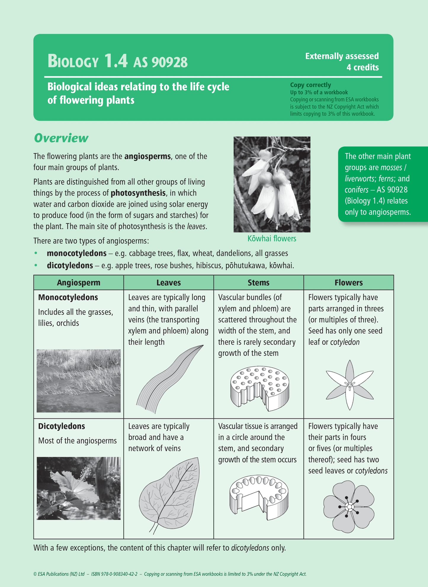 Level 1 Flowering Plants 1.4 Learning Workbook