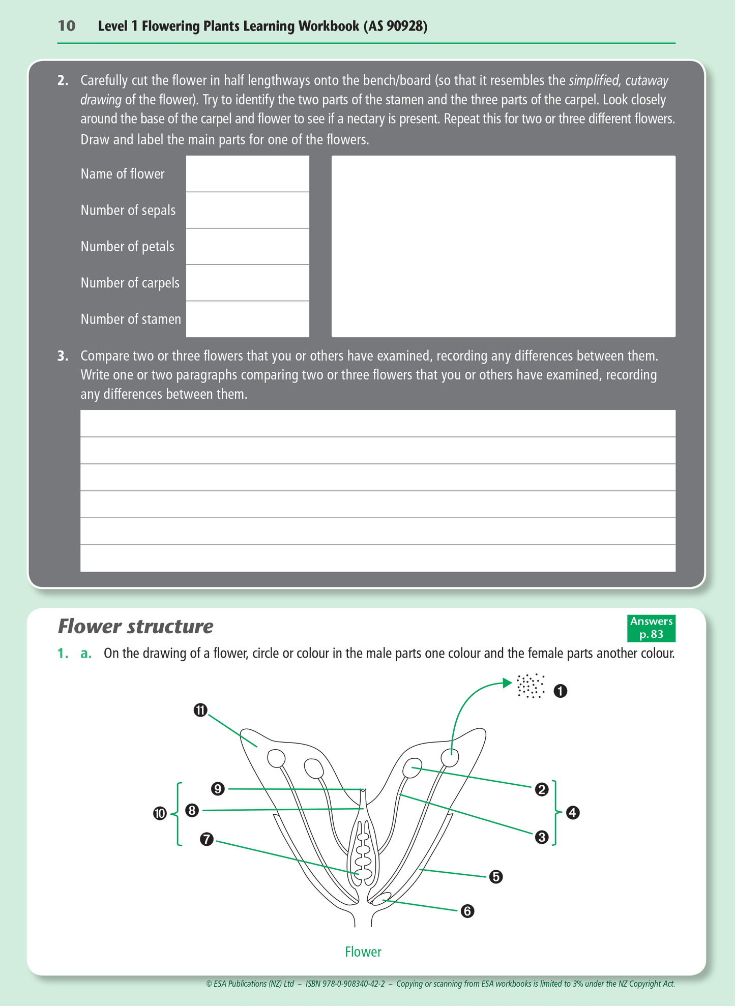 Level 1 Flowering Plants 1.4 Learning Workbook