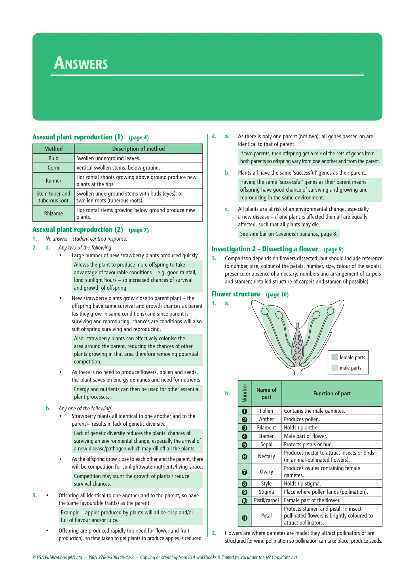 Level 1 Flowering Plants 1.4 Learning Workbook