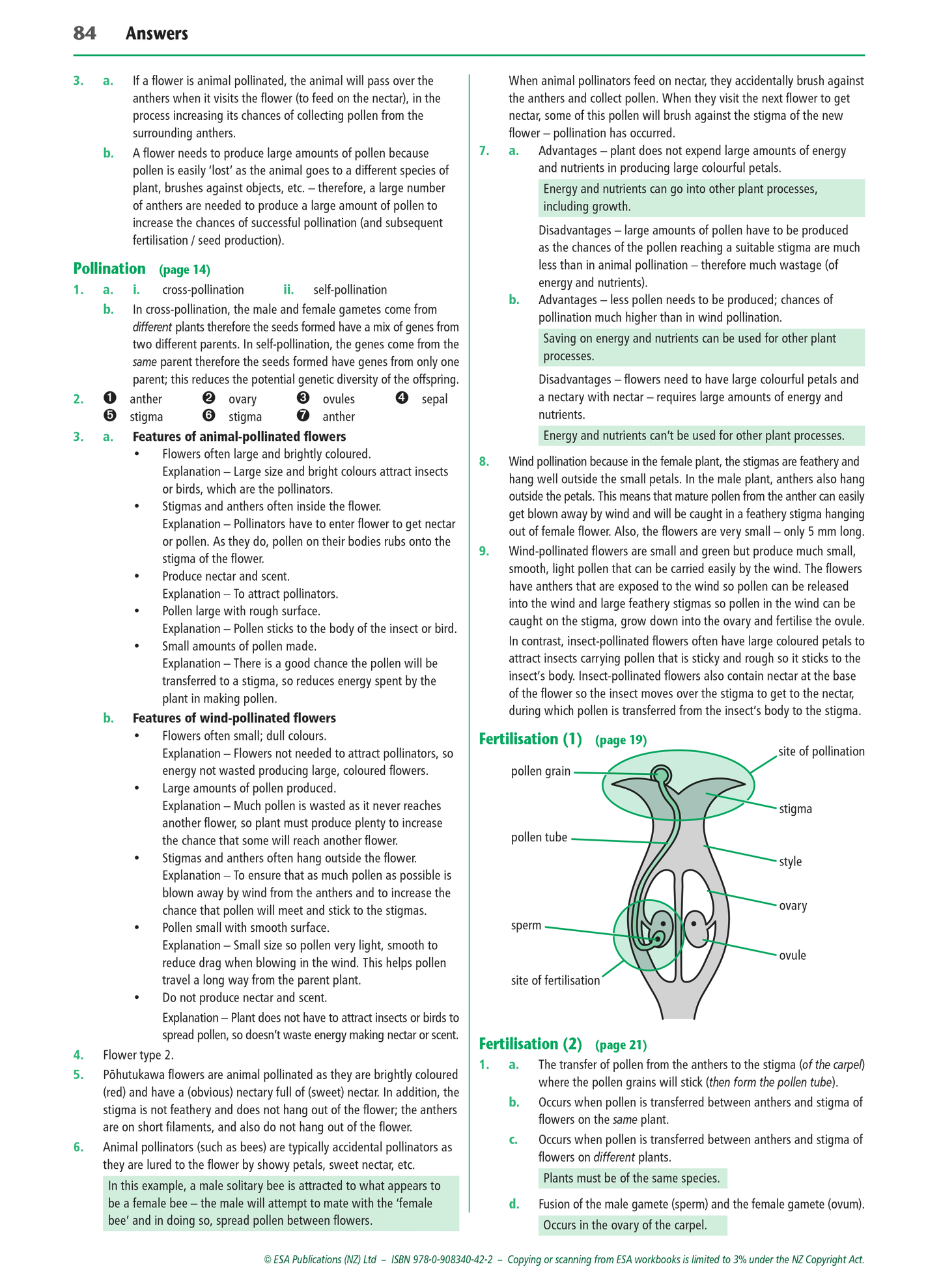 Level 1 Flowering Plants 1.4 Learning Workbook