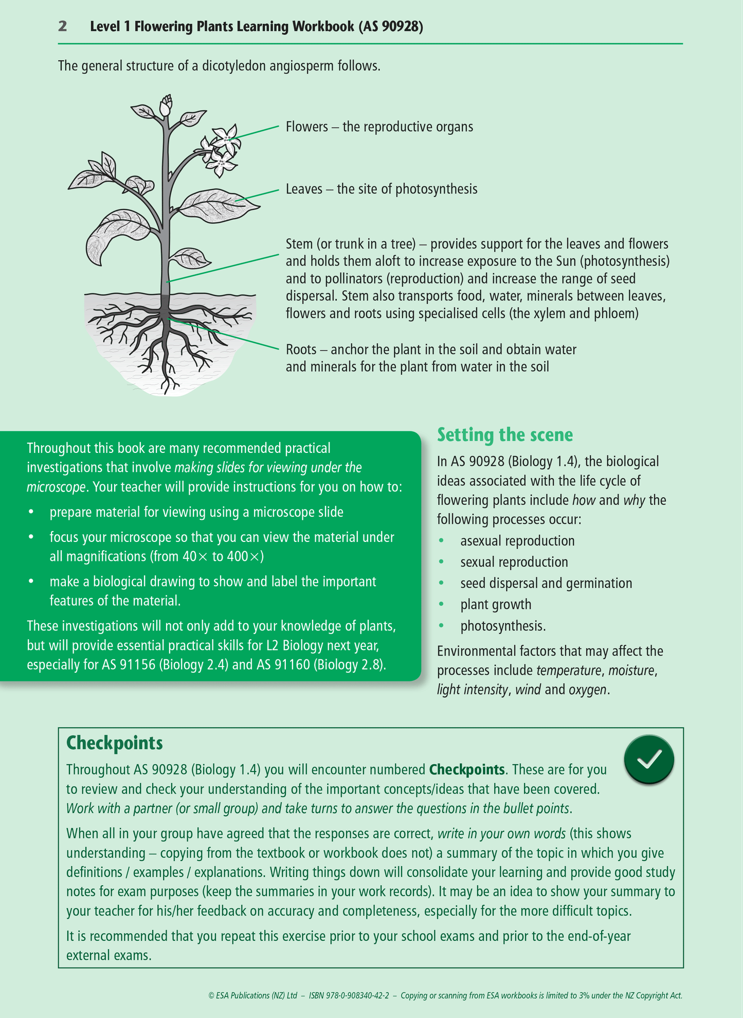 Level 1 Flowering Plants 1.4 Learning Workbook