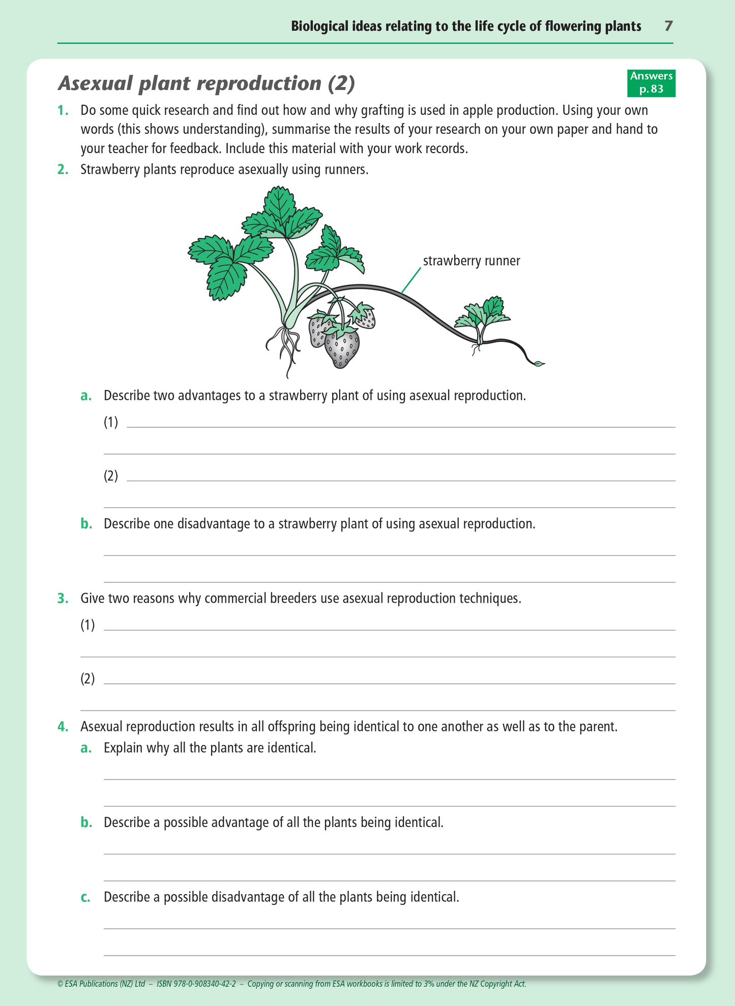 Level 1 Flowering Plants 1.4 Learning Workbook